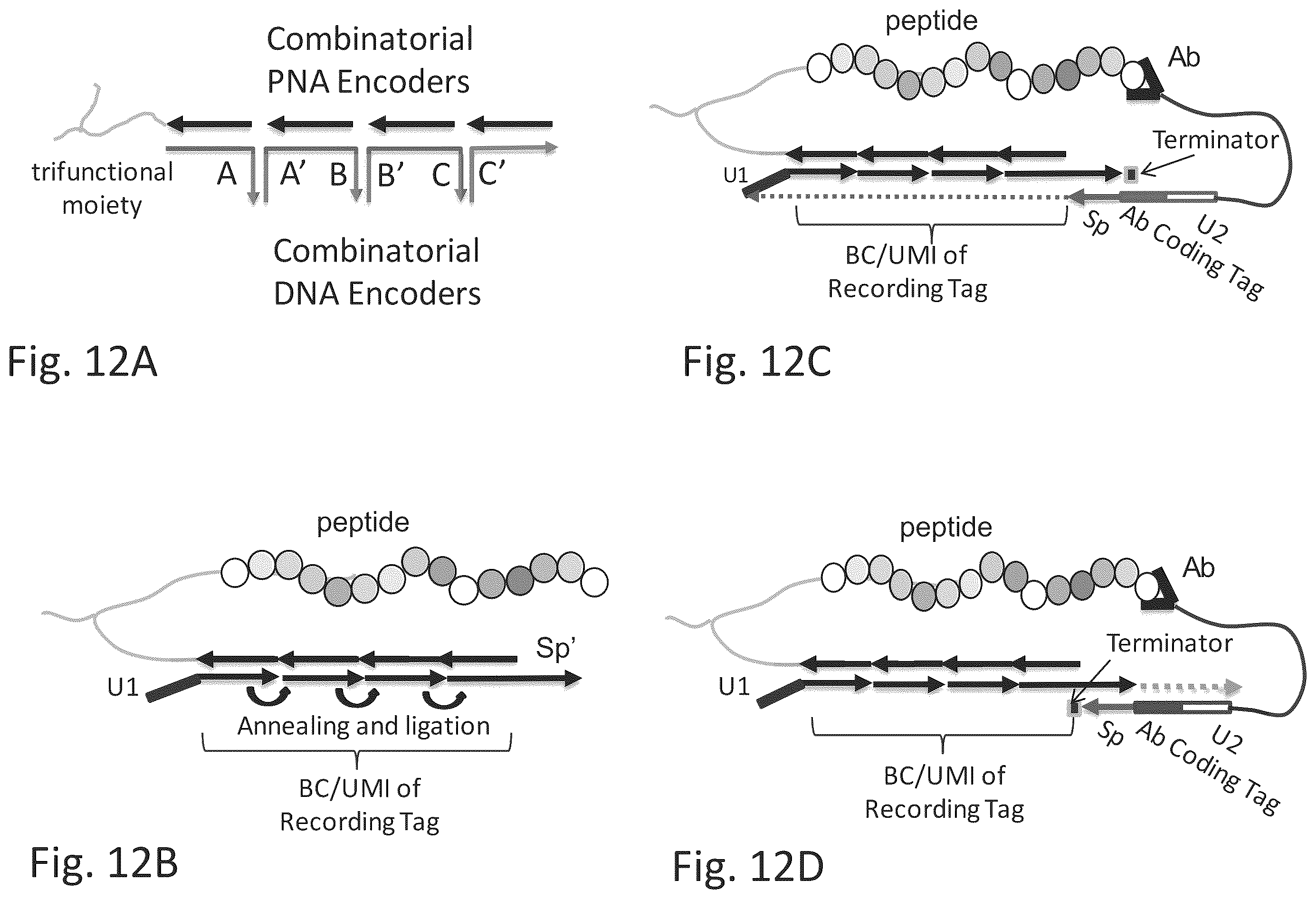 Patent US12129463 Figure 17 – Methods and kits using nucleic acid encoding and/or label
