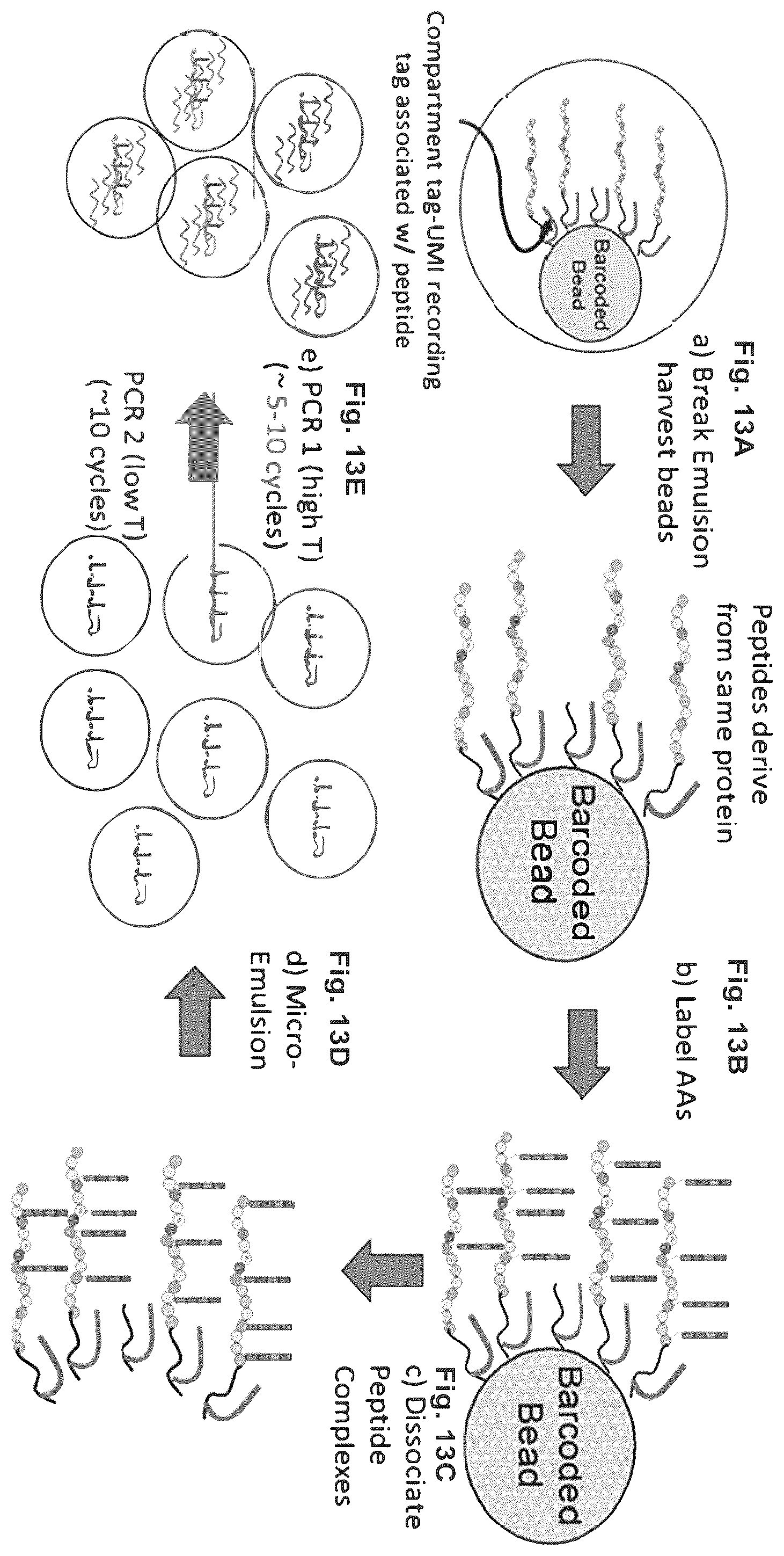 Patent US12129463 Figure 18 – Methods and kits using nucleic acid encoding and/or label
