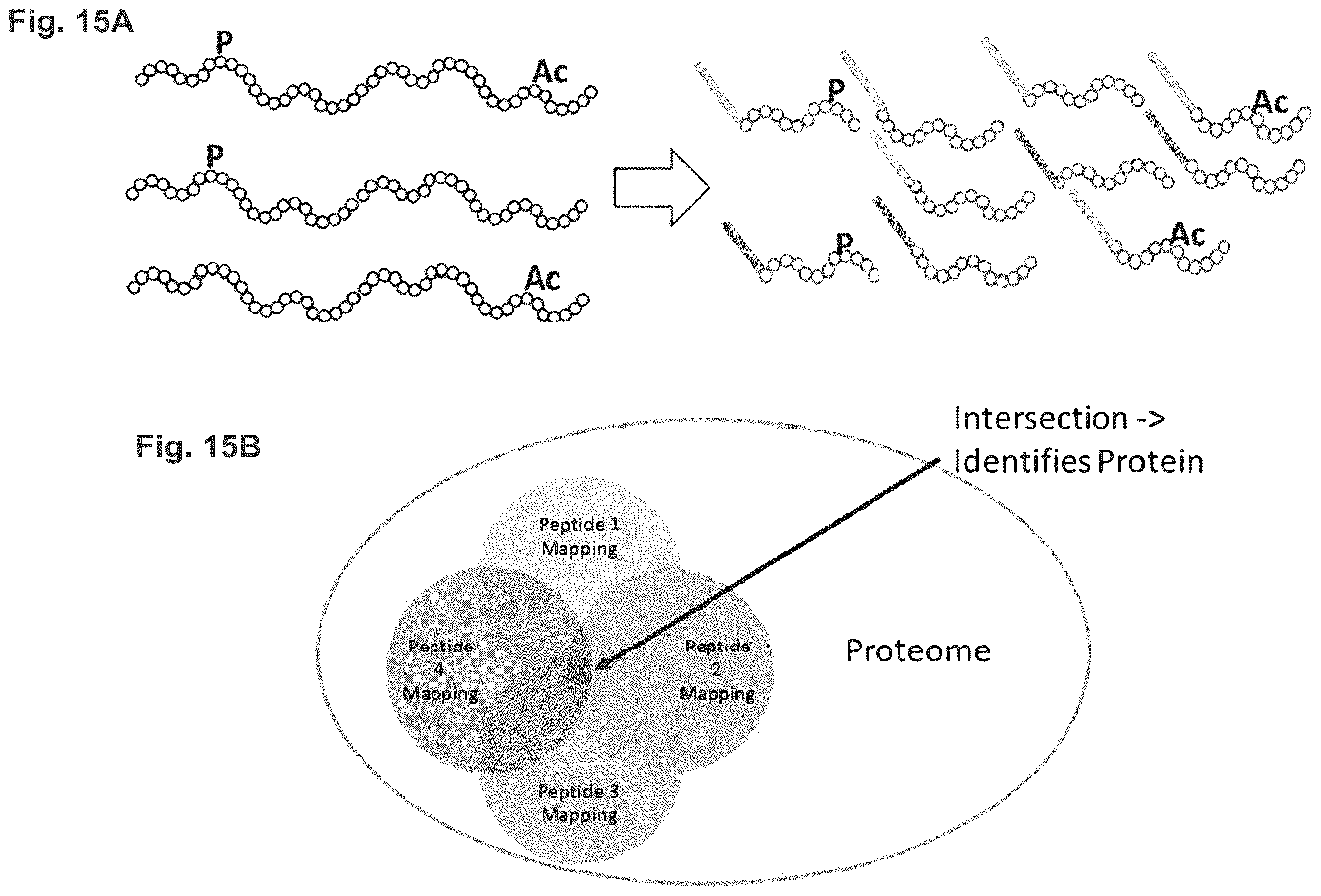 Patent US12129463 Figure 20 – Methods and kits using nucleic acid encoding and/or label