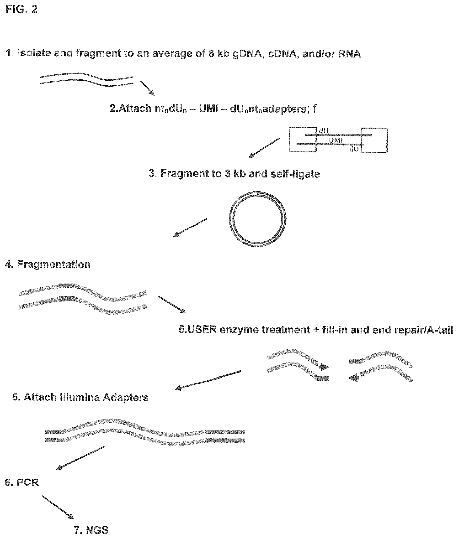 Patent US12129464 Figure 2 – Next generation sequencing
