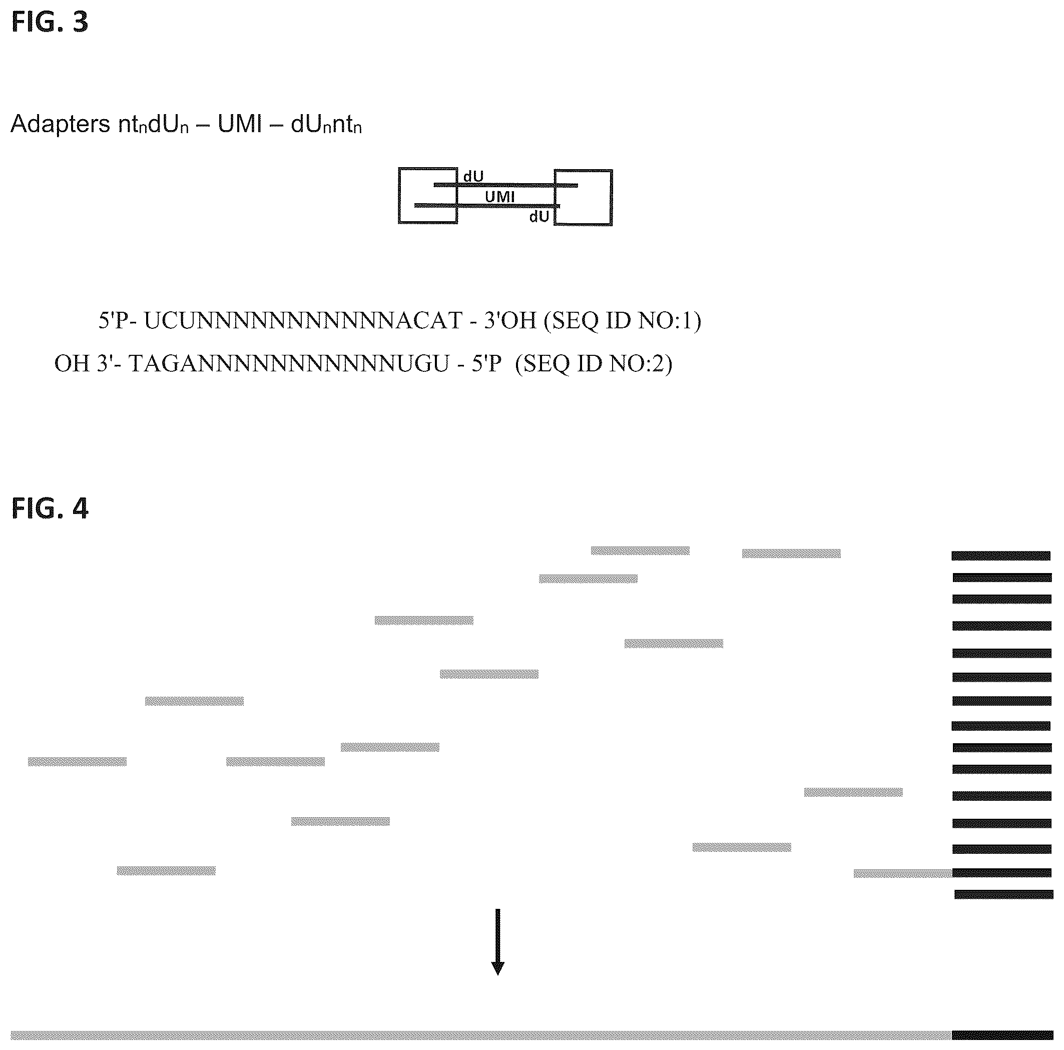 Patent US12129464 Figure 3 – Next generation sequencing
