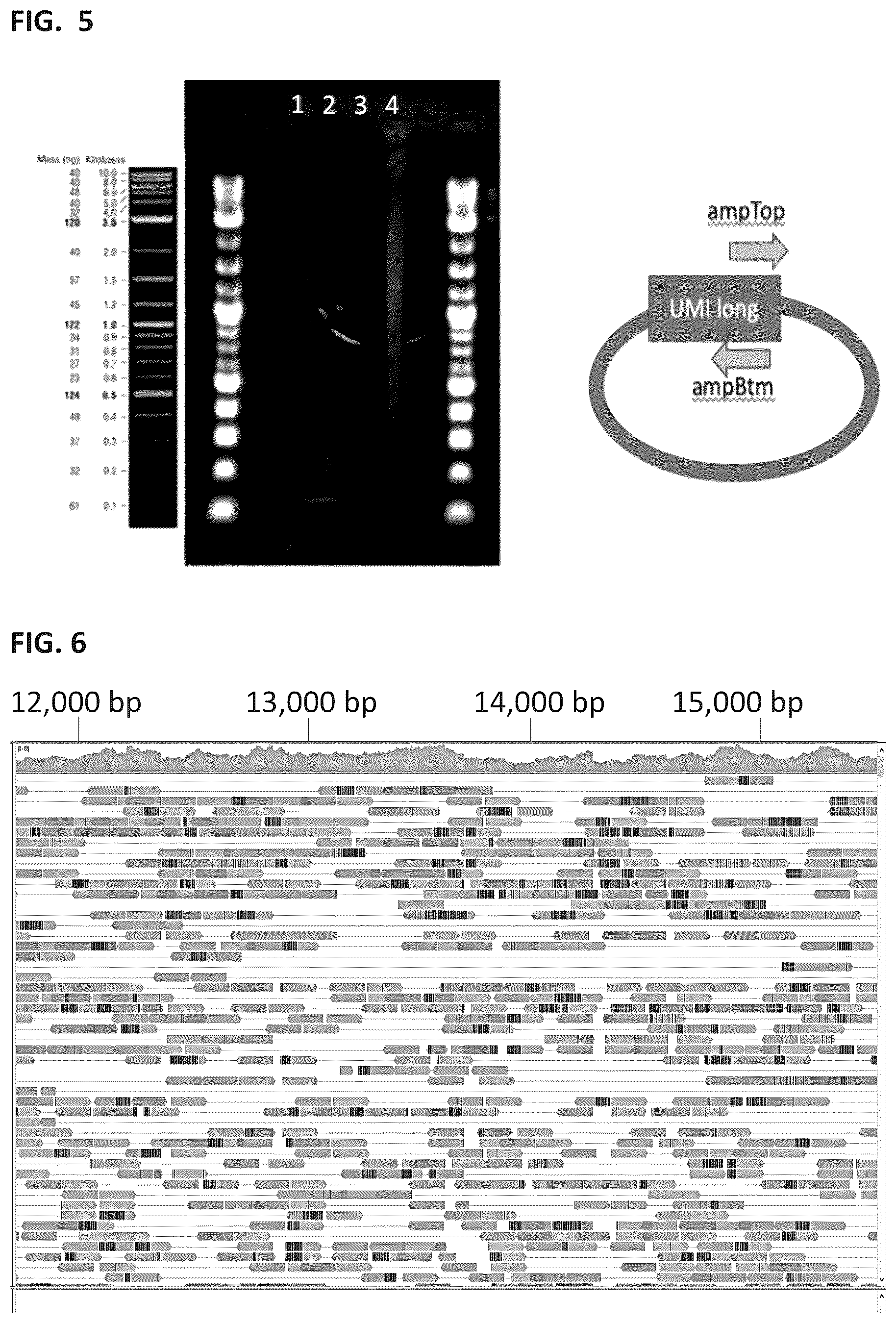 Patent US12129464 Figure 4 – Next generation sequencing