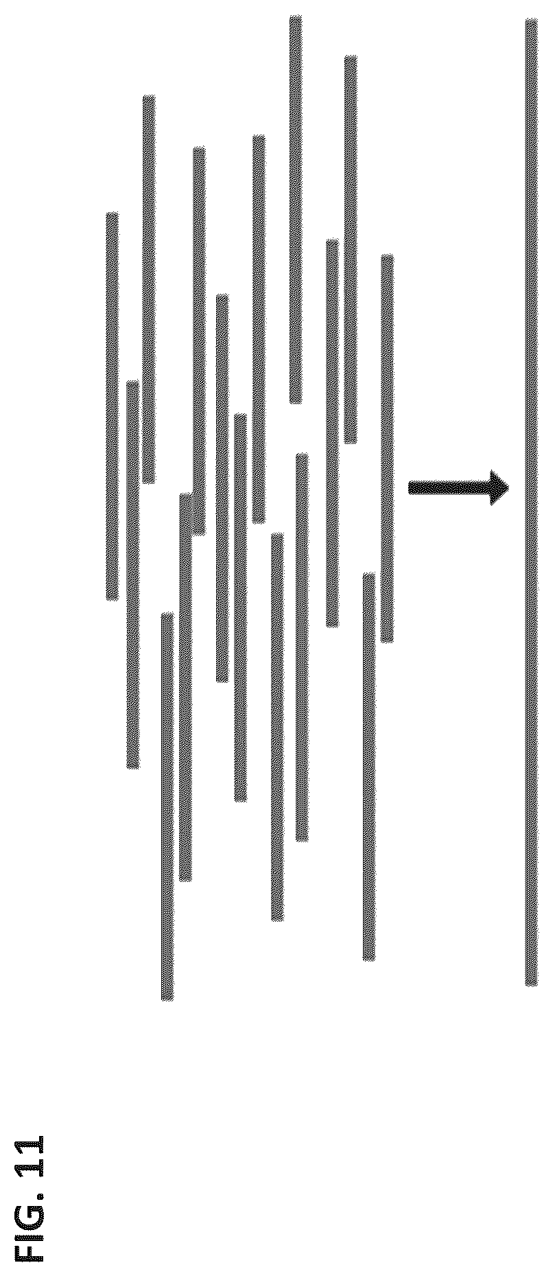 Patent US12129464 Figure 8 – Next generation sequencing