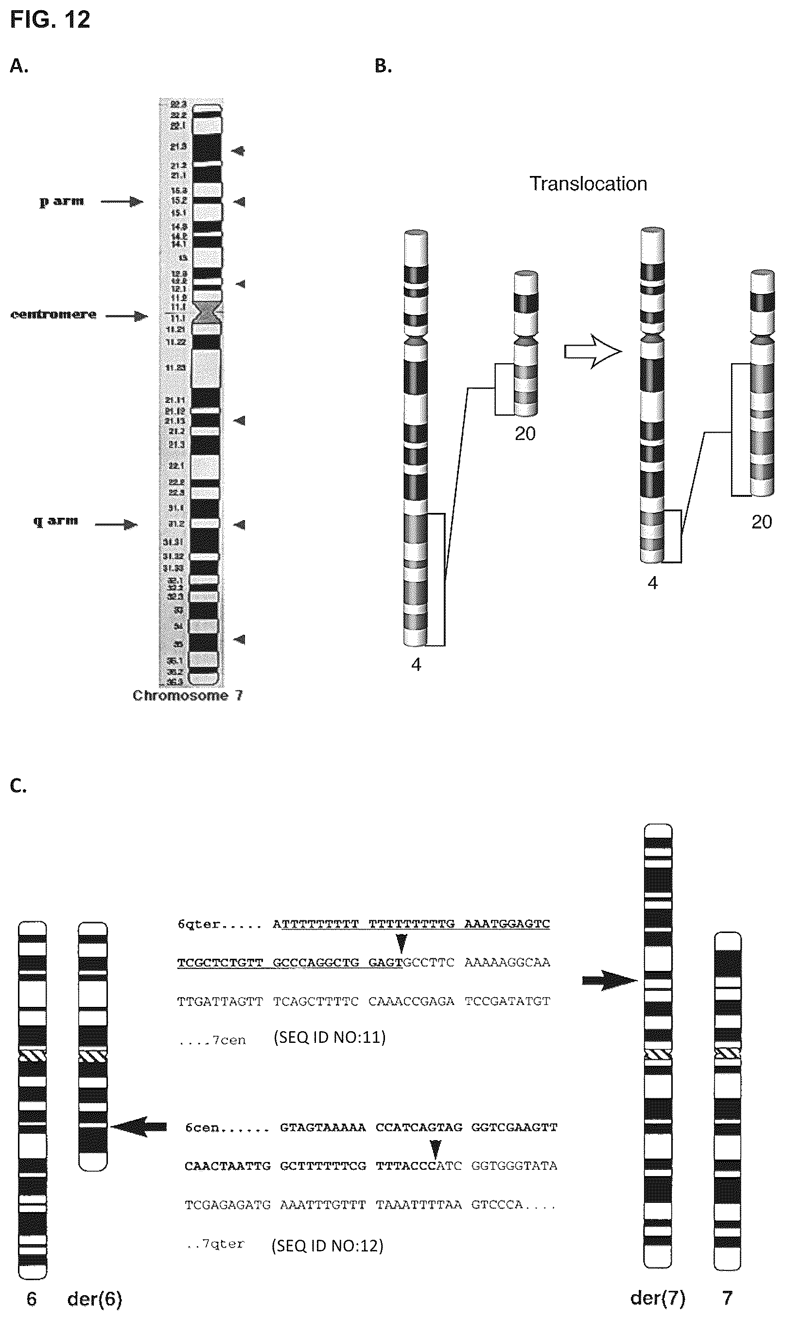 Patent US12129464 Figure 9 – Next generation sequencing