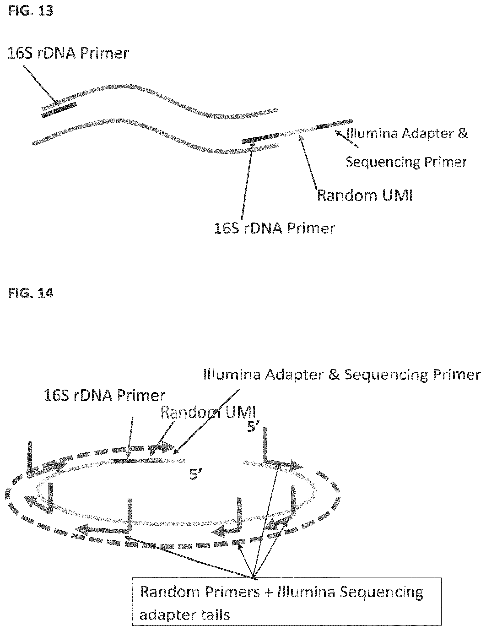 Patent US12129464 Figure 10 – Next generation sequencing
