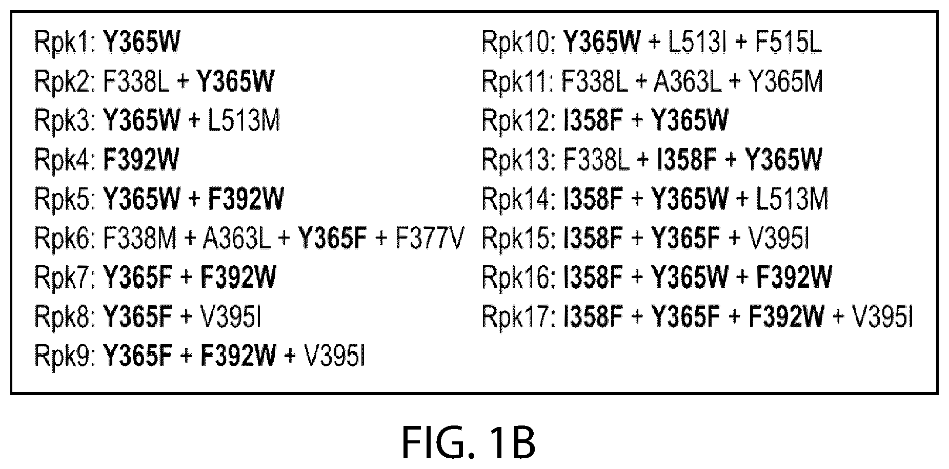 Patent US12129465 Figure 2 – Stable coronavirus proteins and vaccine compositions thereof