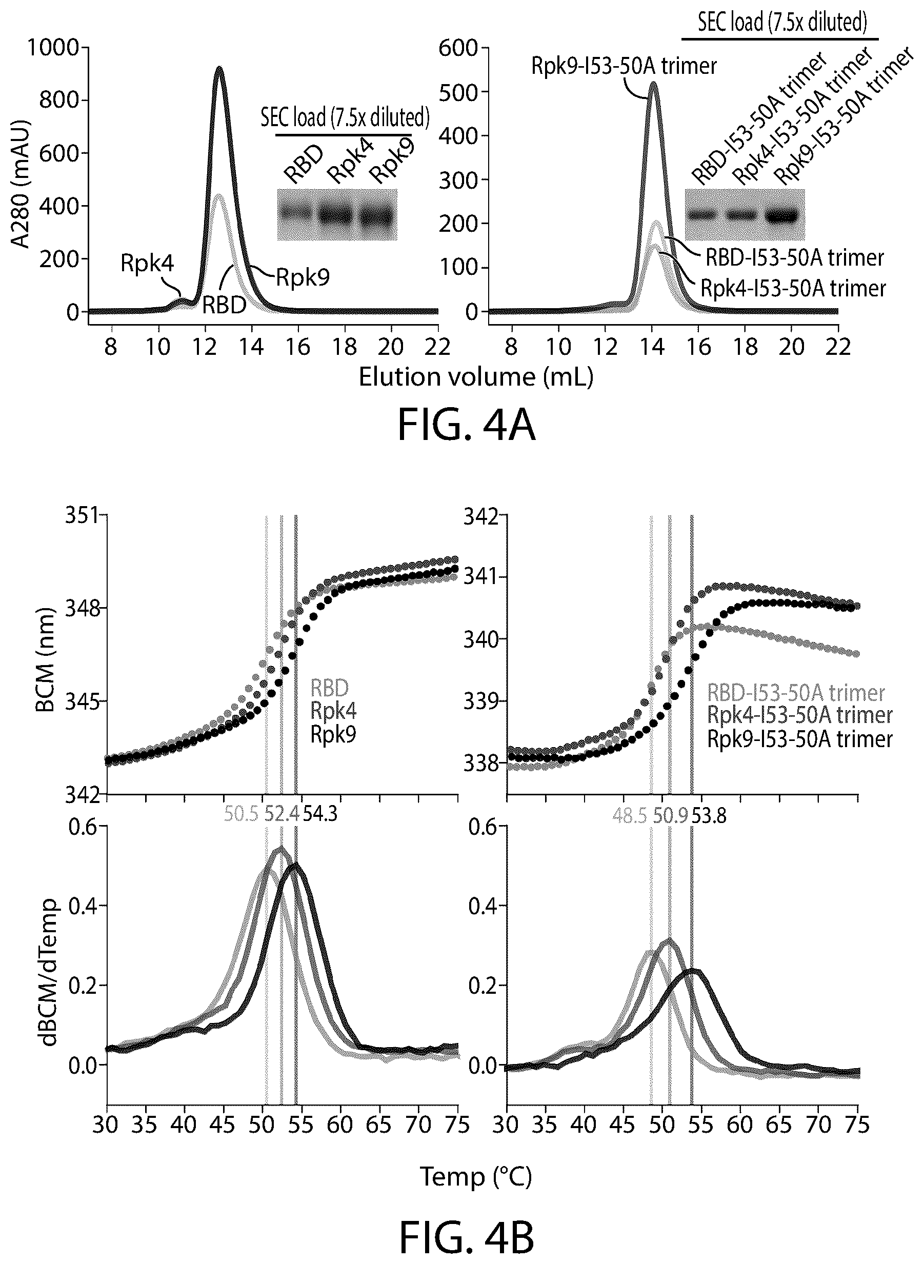 Patent US12129465 Figure 5 – Stable coronavirus proteins and vaccine compositions thereof