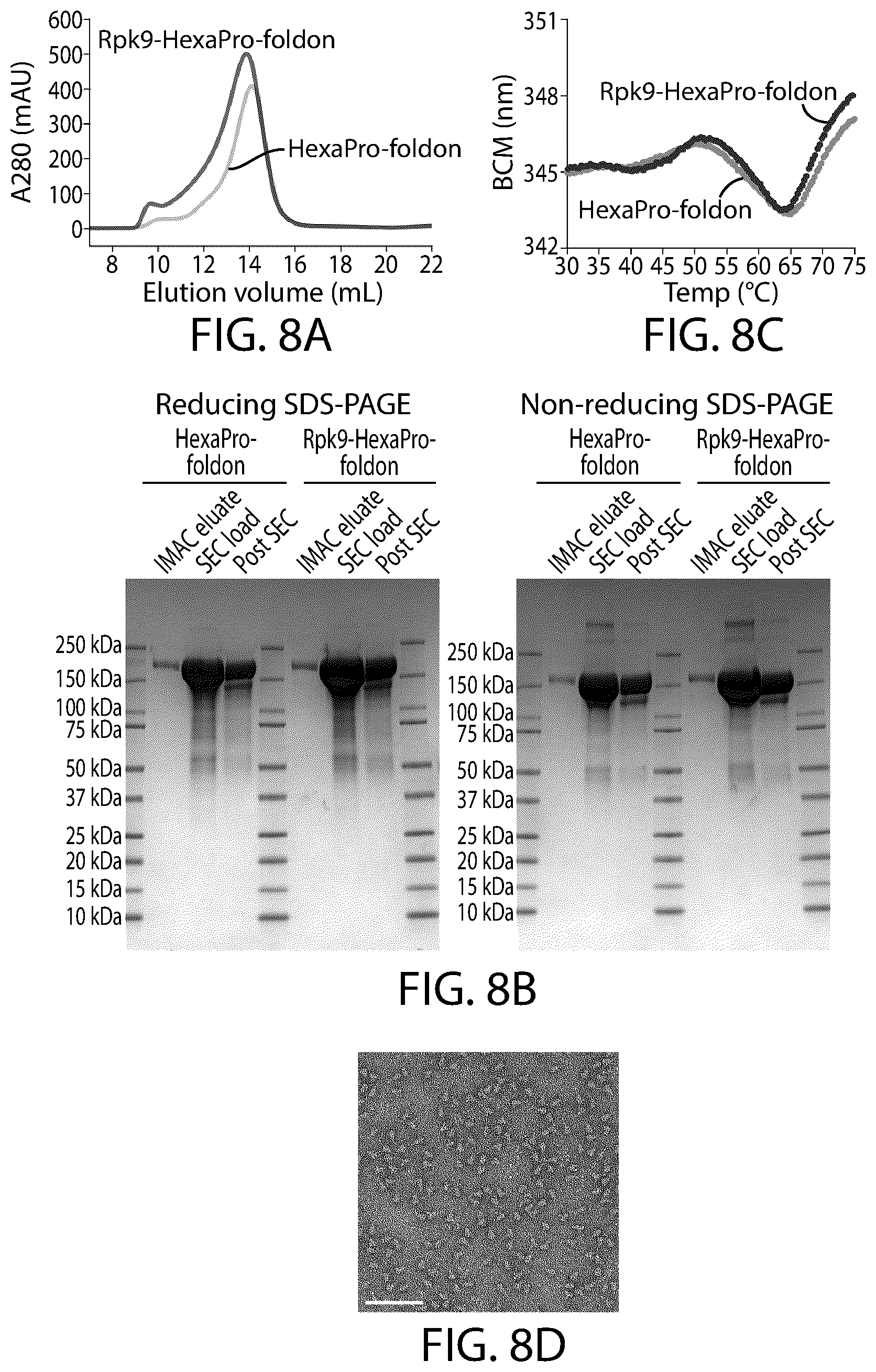 Patent US12129465 Figure 13 – Stable coronavirus proteins and vaccine compositions thereof