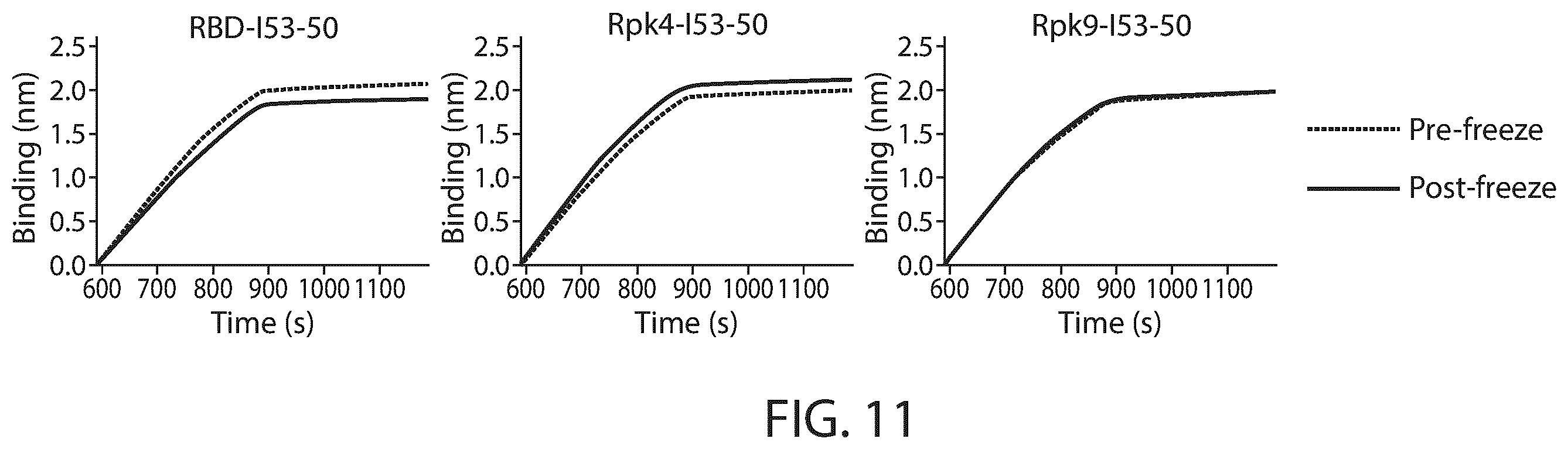 Patent US12129465 Figure 16 – Stable coronavirus proteins and vaccine compositions thereof