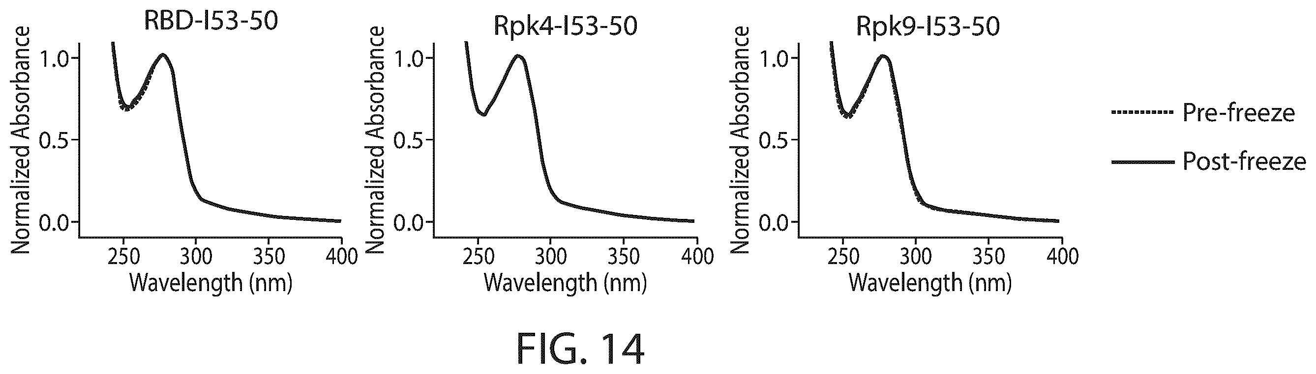 Patent US12129465 Figure 19 – Stable coronavirus proteins and vaccine compositions thereof
