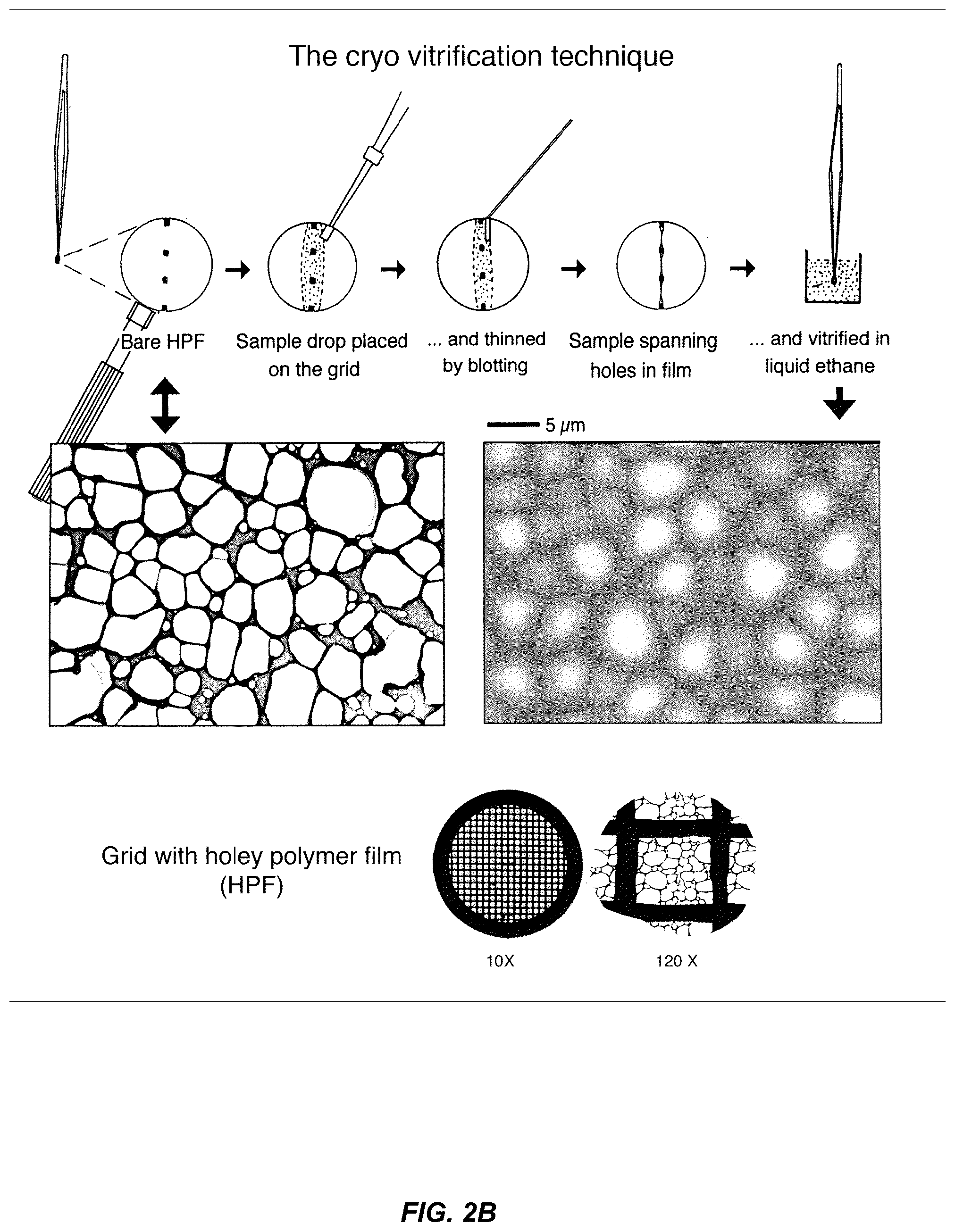 Patent US12129467 Figure 4 – Non-liposomal systems for nucleic acid delivery