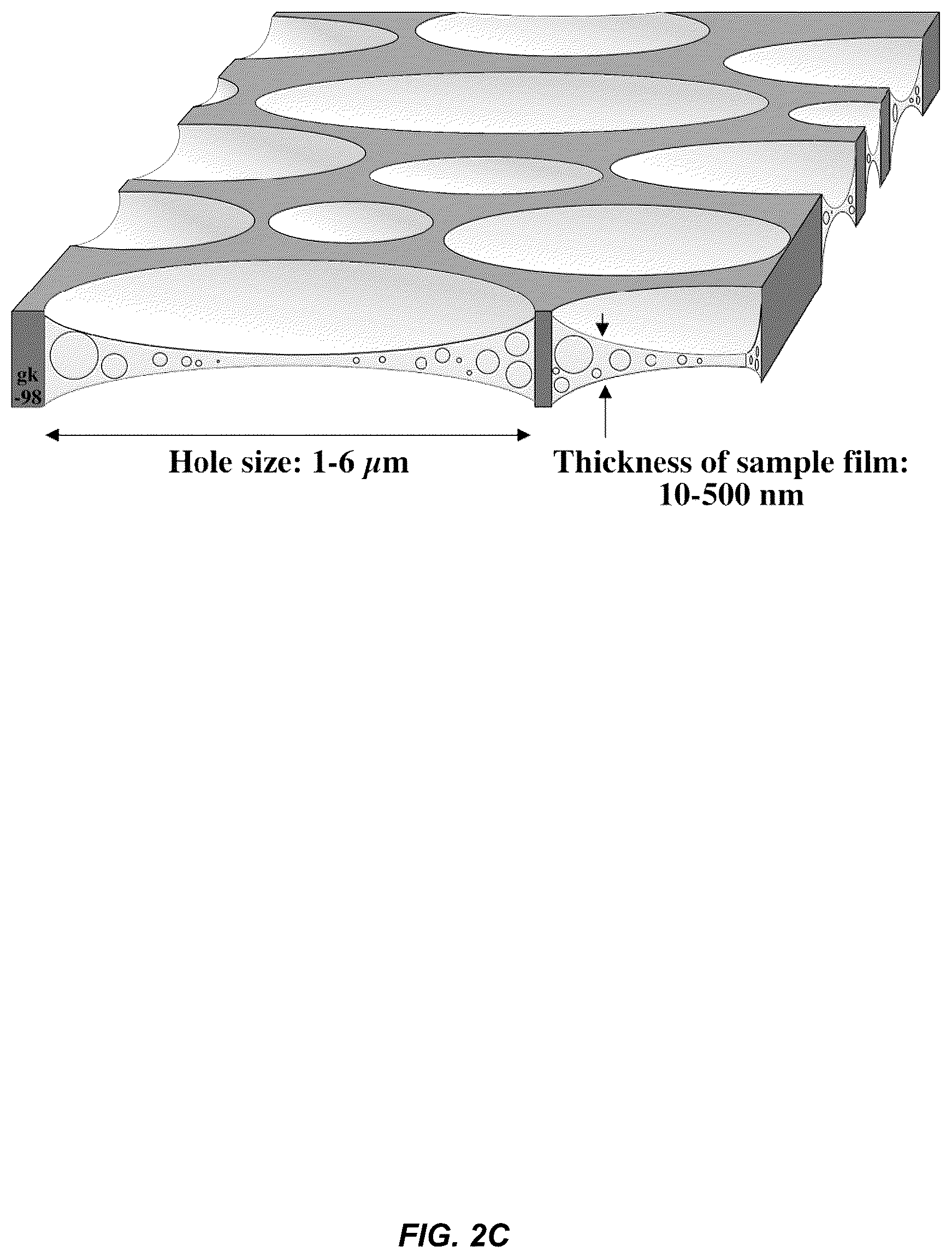 Patent US12129467 Figure 5 – Non-liposomal systems for nucleic acid delivery