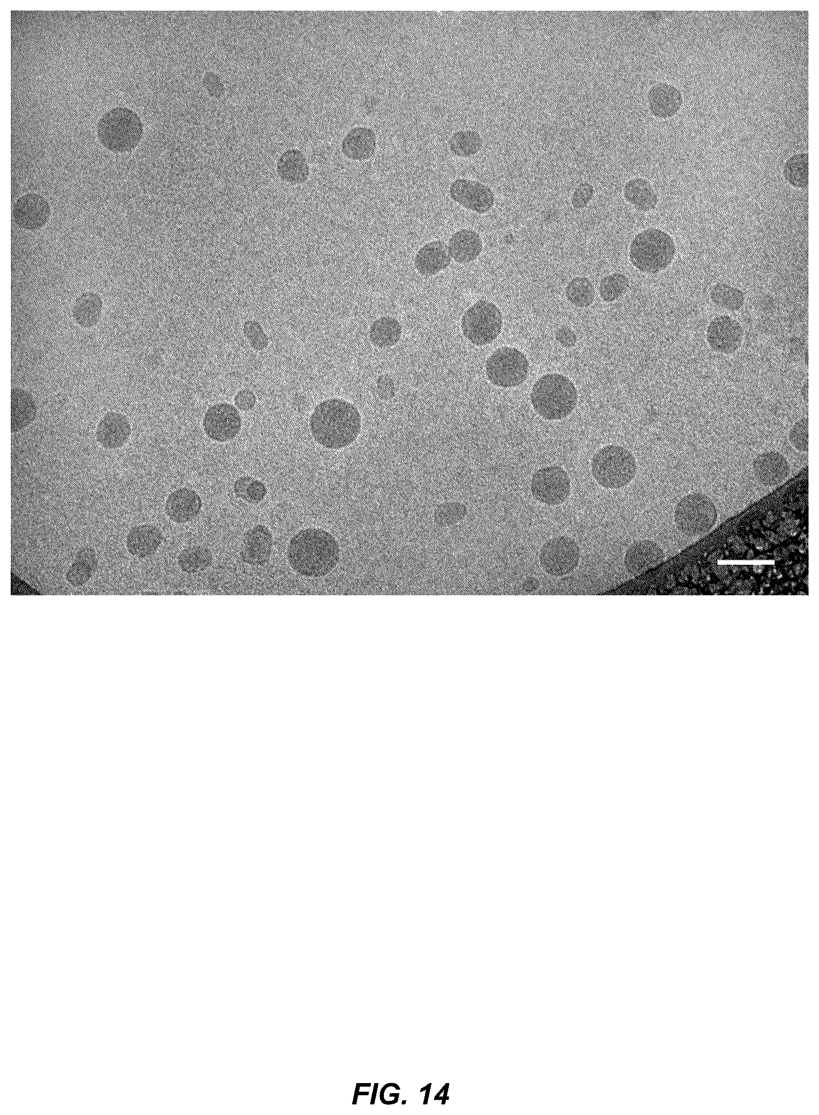 Patent US12129467 Figure 17 – Non-liposomal systems for nucleic acid delivery