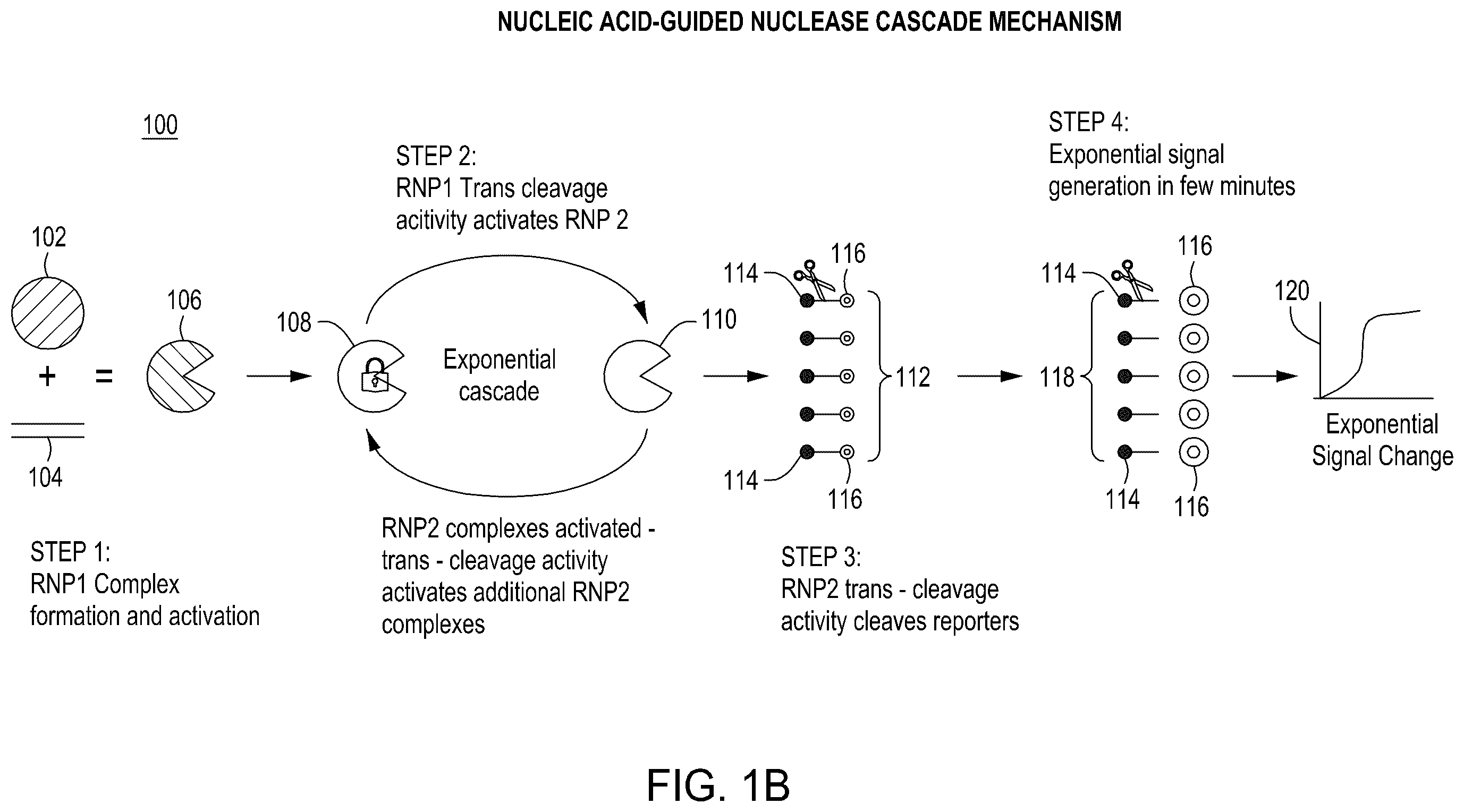 Patent US12129468 Figure 2 – Signal boost cascade assay