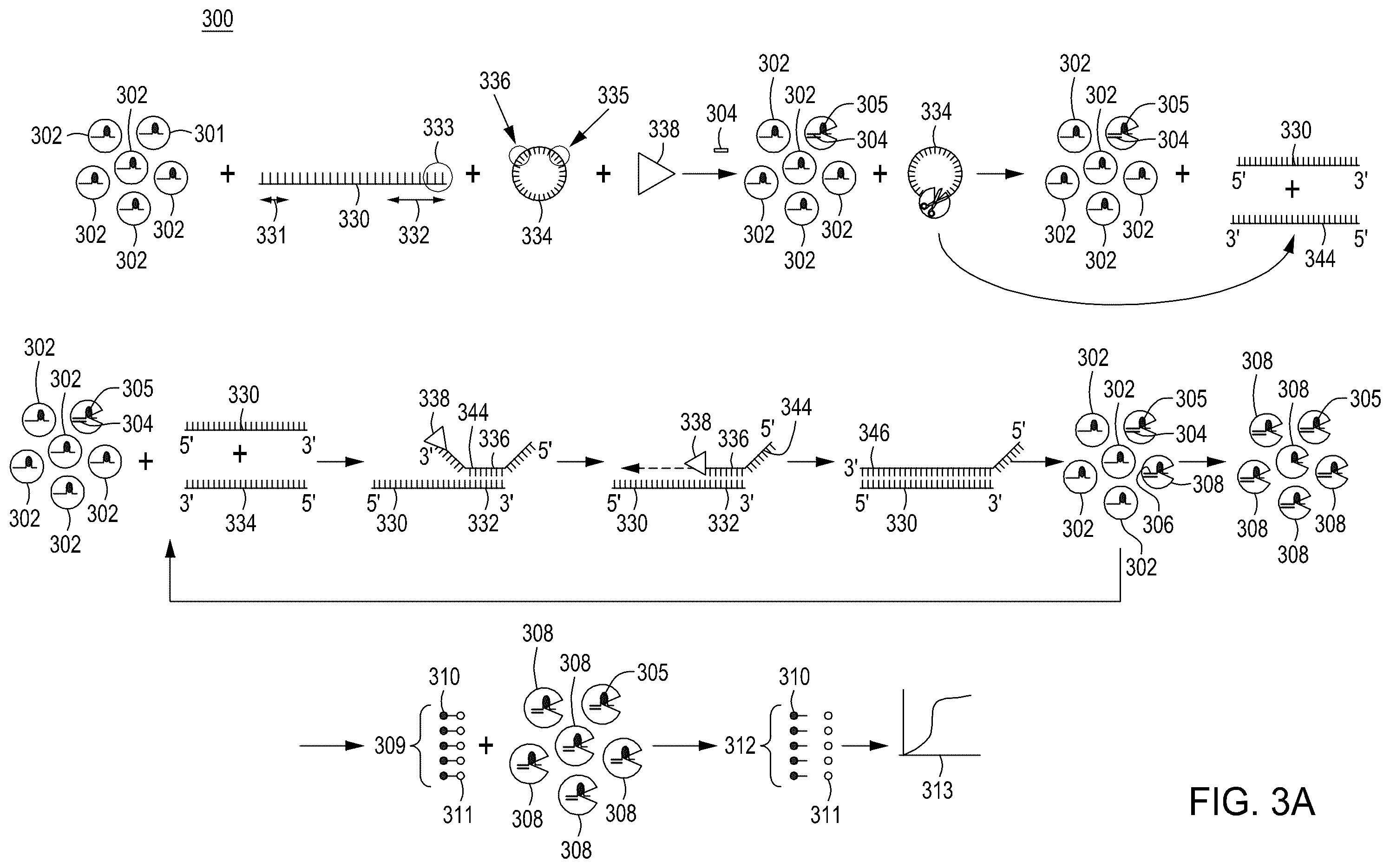 Patent US12129468 Figure 11 – Signal boost cascade assay