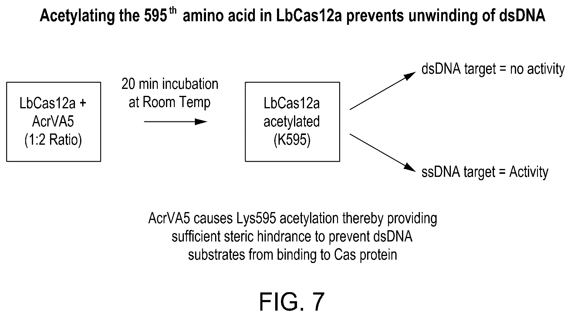Patent US12129468 Figure 16 – Signal boost cascade assay