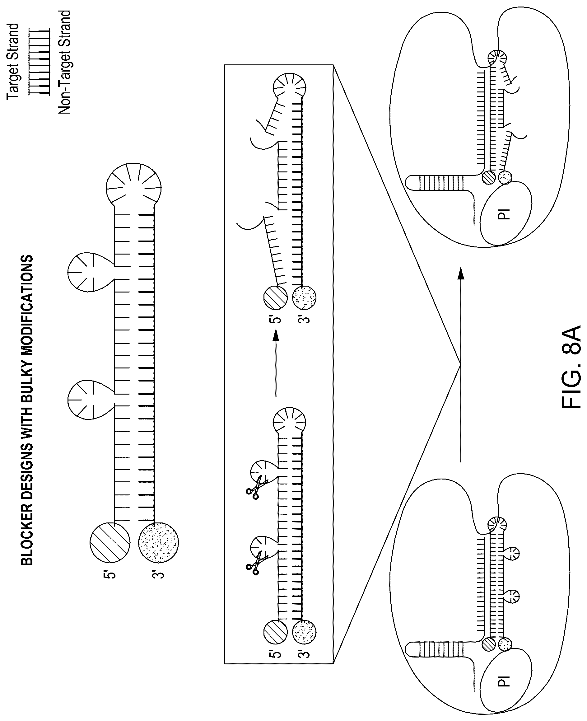 Patent US12129468 Figure 17 – Signal boost cascade assay