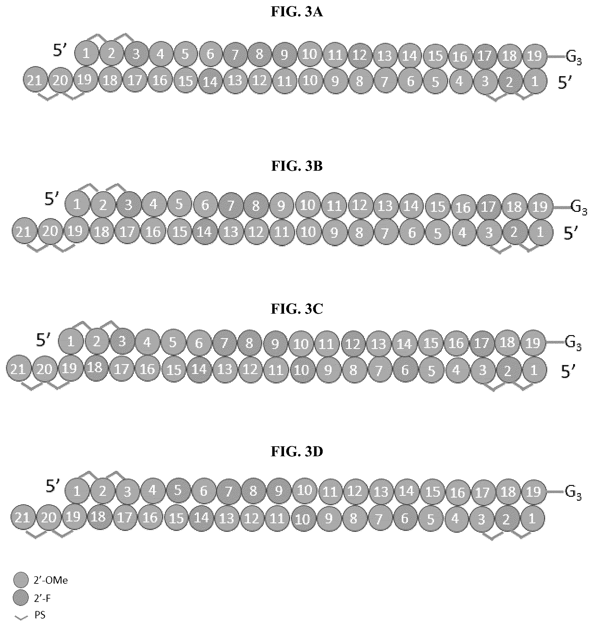 Patent US12129469 Figure 2 – Modified short interfering nucleic acid (siNA) molecules and uses thereof