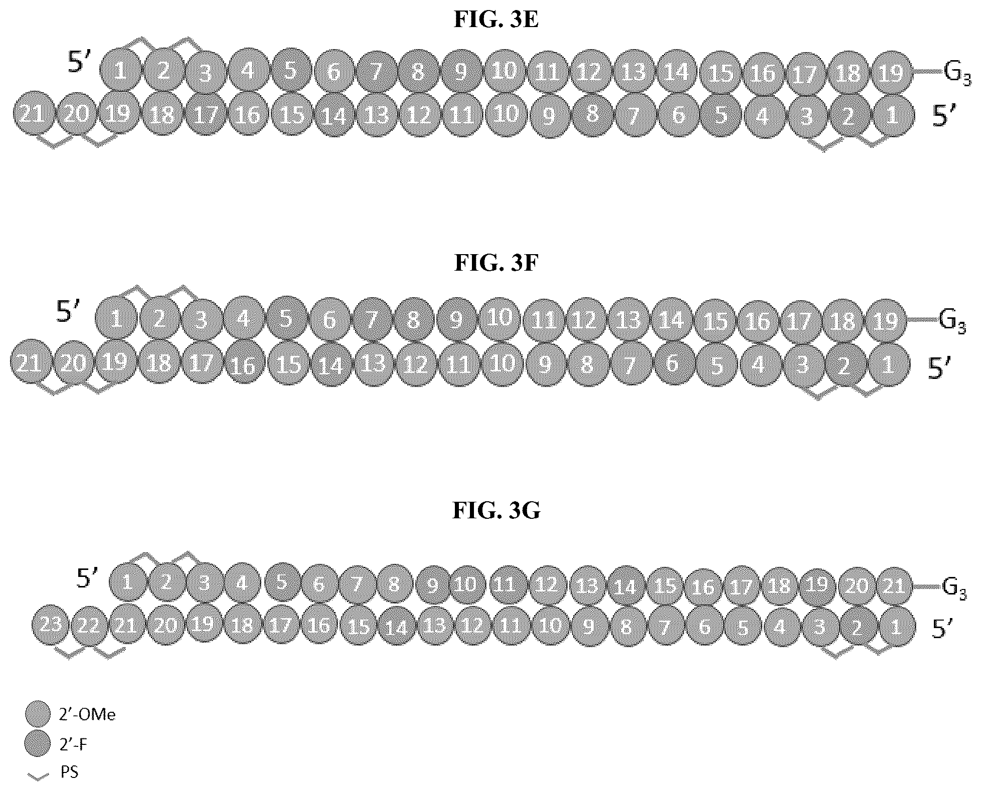 Patent US12129469 Figure 3 – Modified short interfering nucleic acid (siNA) molecules and uses thereof