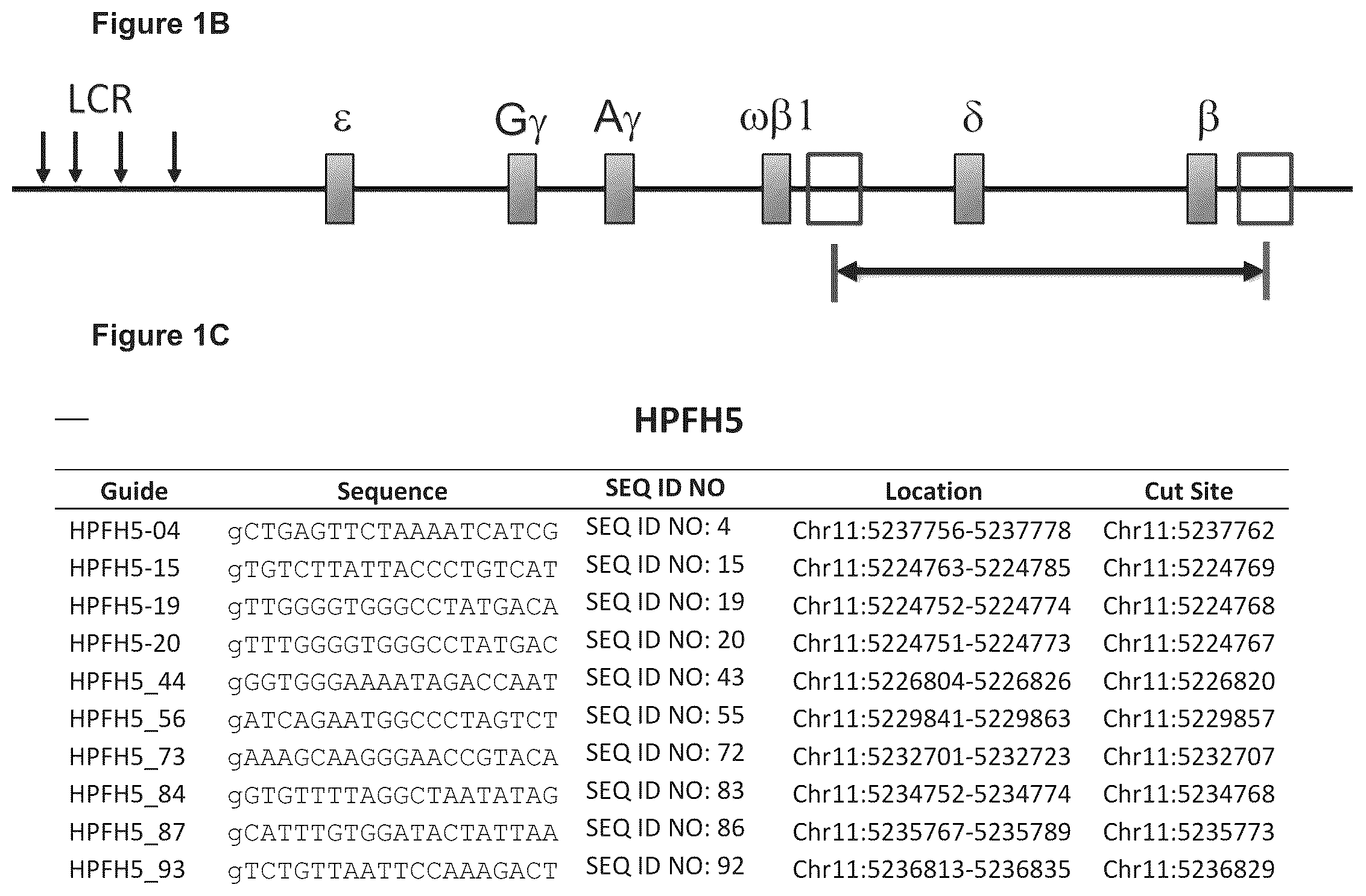 Patent US12129471 Figure 2 – Materials and methods for treatment of human genetic diseases including hemoglobinopathies