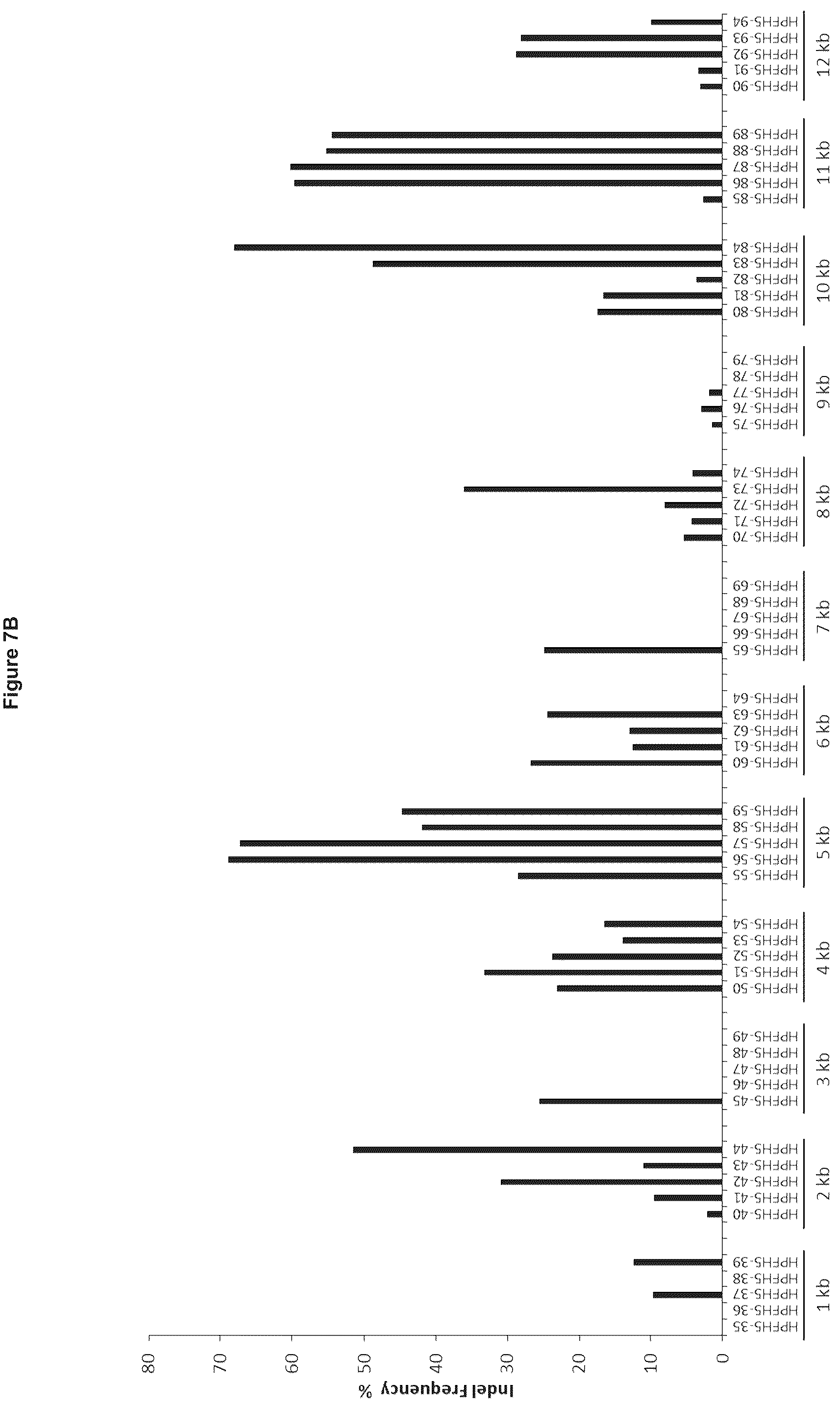Patent US12129471 Figure 12 – Materials and methods for treatment of human genetic diseases including hemoglobinopathies