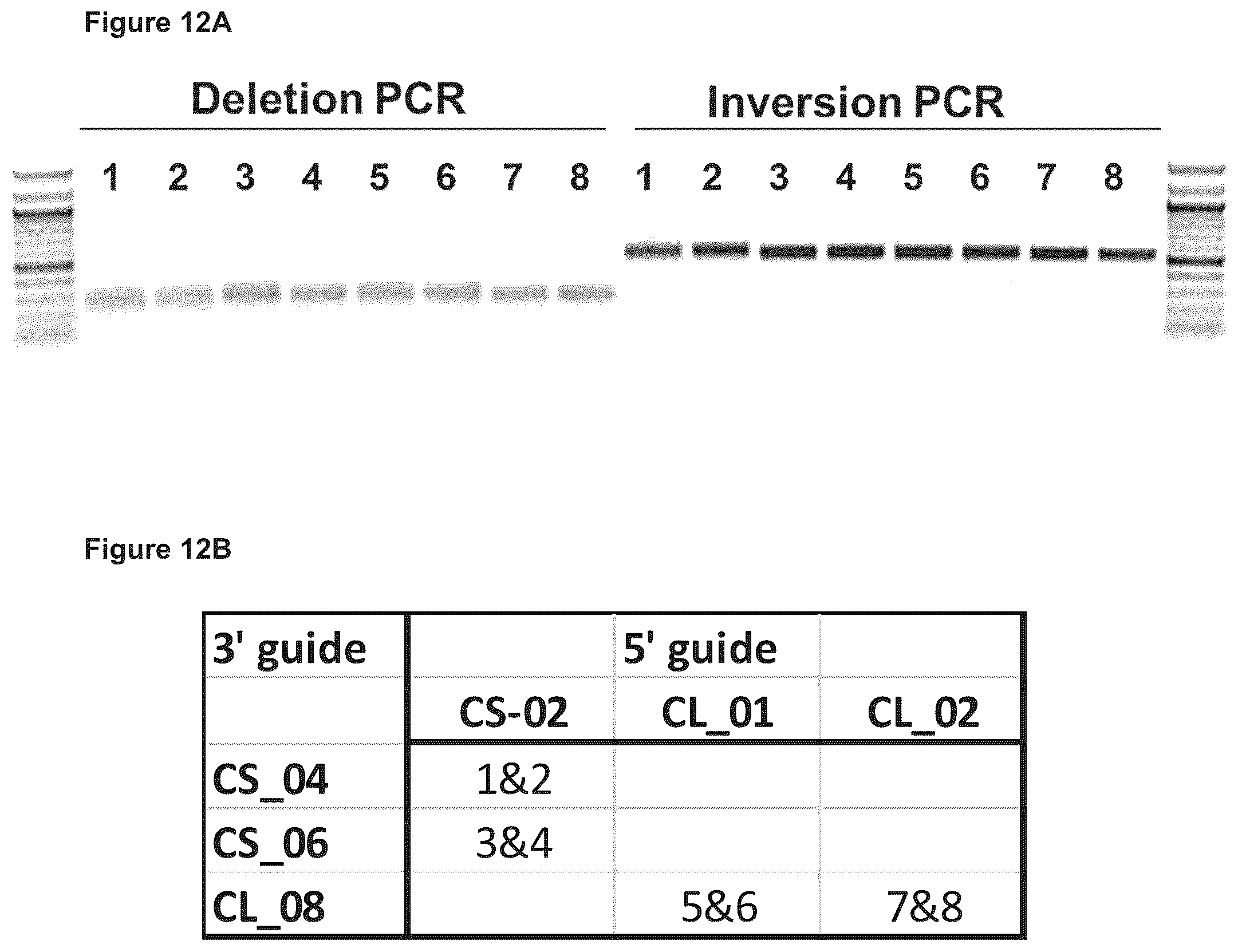 Patent US12129471 Figure 17 – Materials and methods for treatment of human genetic diseases including hemoglobinopathies