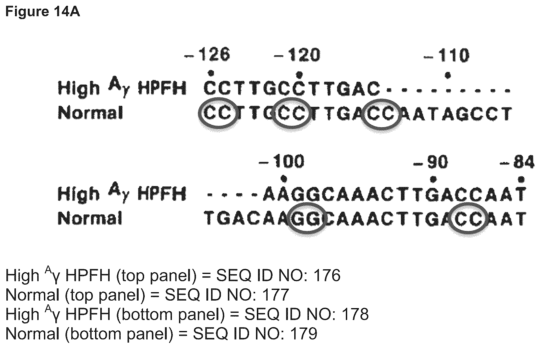Patent US12129471 Figure 20 – Materials and methods for treatment of human genetic diseases including hemoglobinopathies
