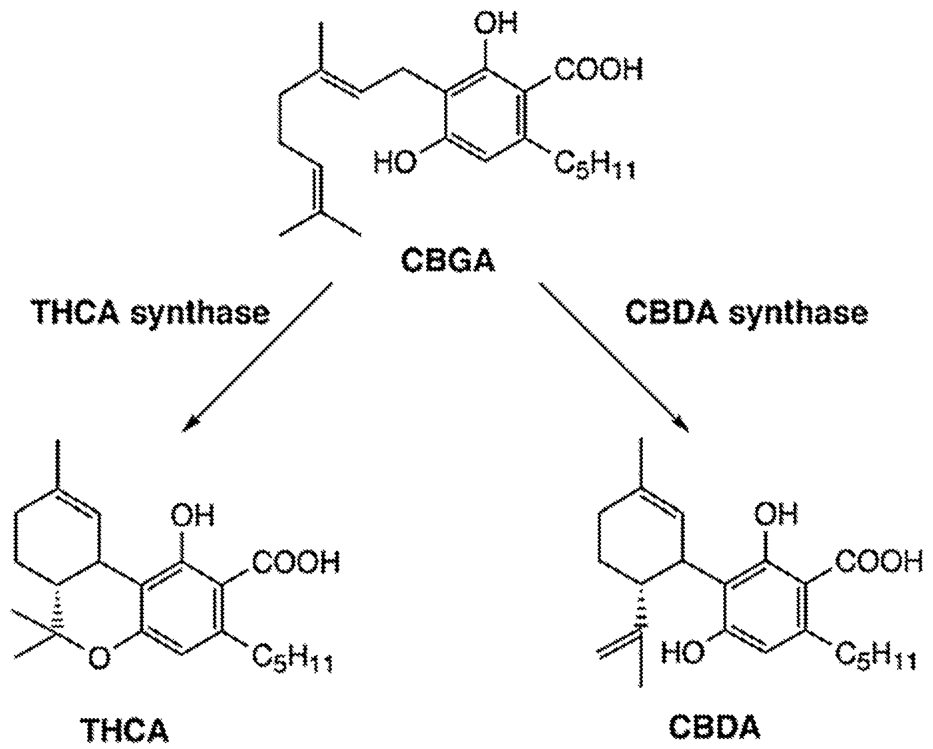 Patent US12129473 — Synthetic cannabinoid compounds for treatment of pain and anxiety — Figure 1