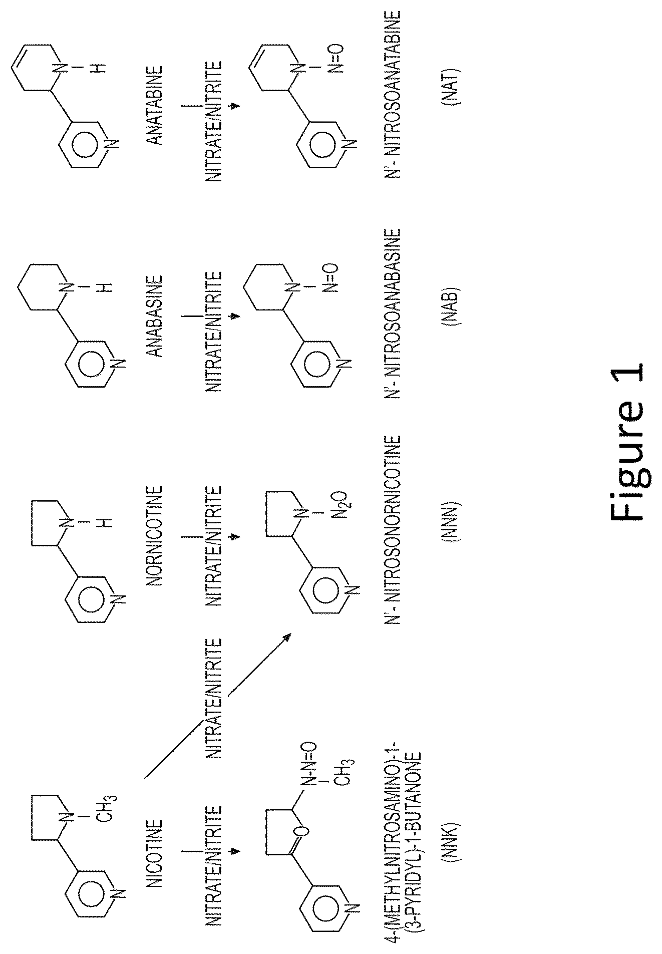 Patent US12129474 Figure 1 – Composition and methods for producing tobacco plants and products having reduced tobacco-specific nitrosamines (TSNAs)