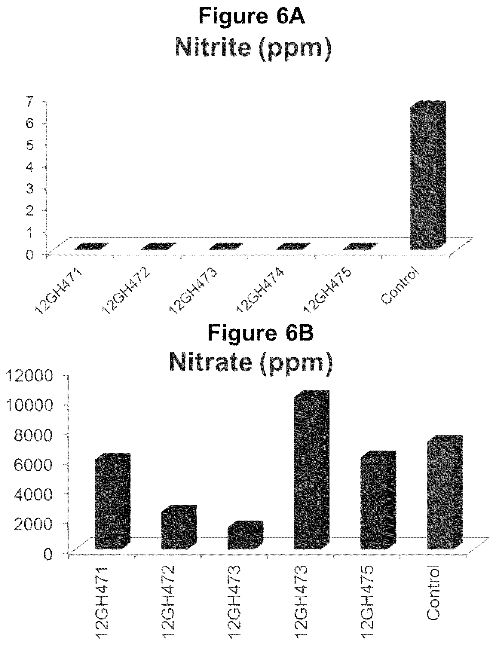 Patent US12129474 Figure 7 – Composition and methods for producing tobacco plants and products having reduced tobacco-specific nitrosamines (TSNAs)