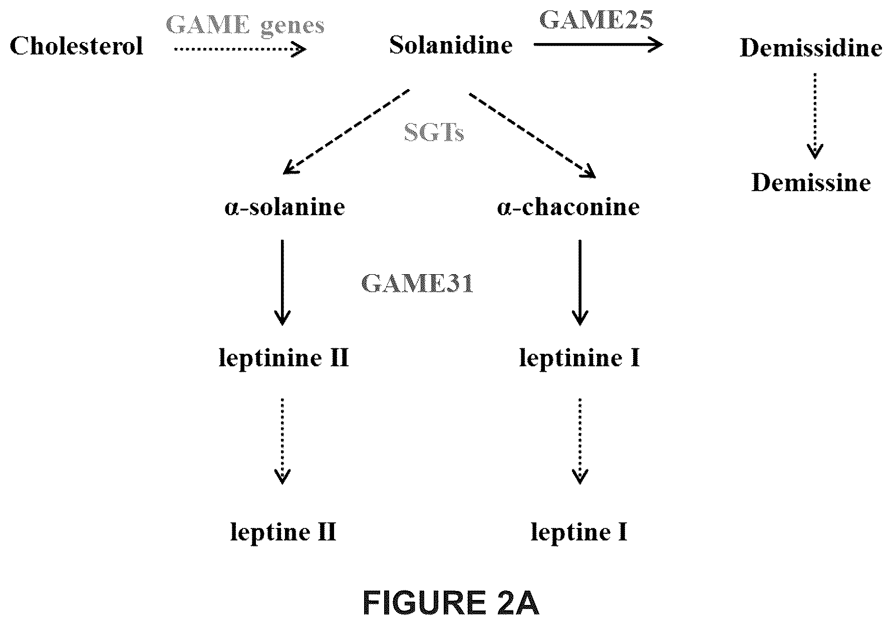 Patent US12129475 Figure 7 – Glycoalkaloid metabolism enyzymes (GAMES) and uses thereof