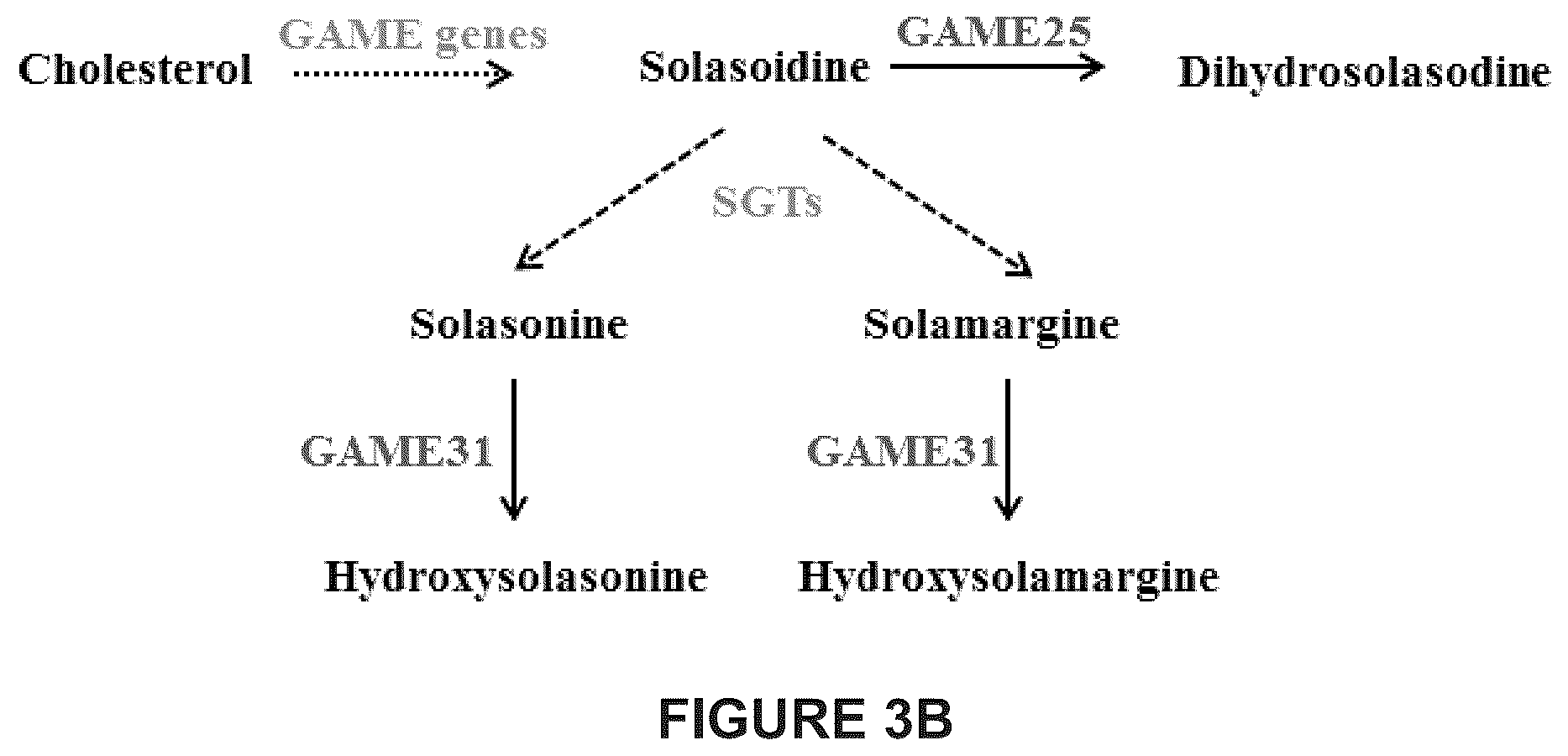 Patent US12129475 Figure 10 – Glycoalkaloid metabolism enyzymes (GAMES) and uses thereof