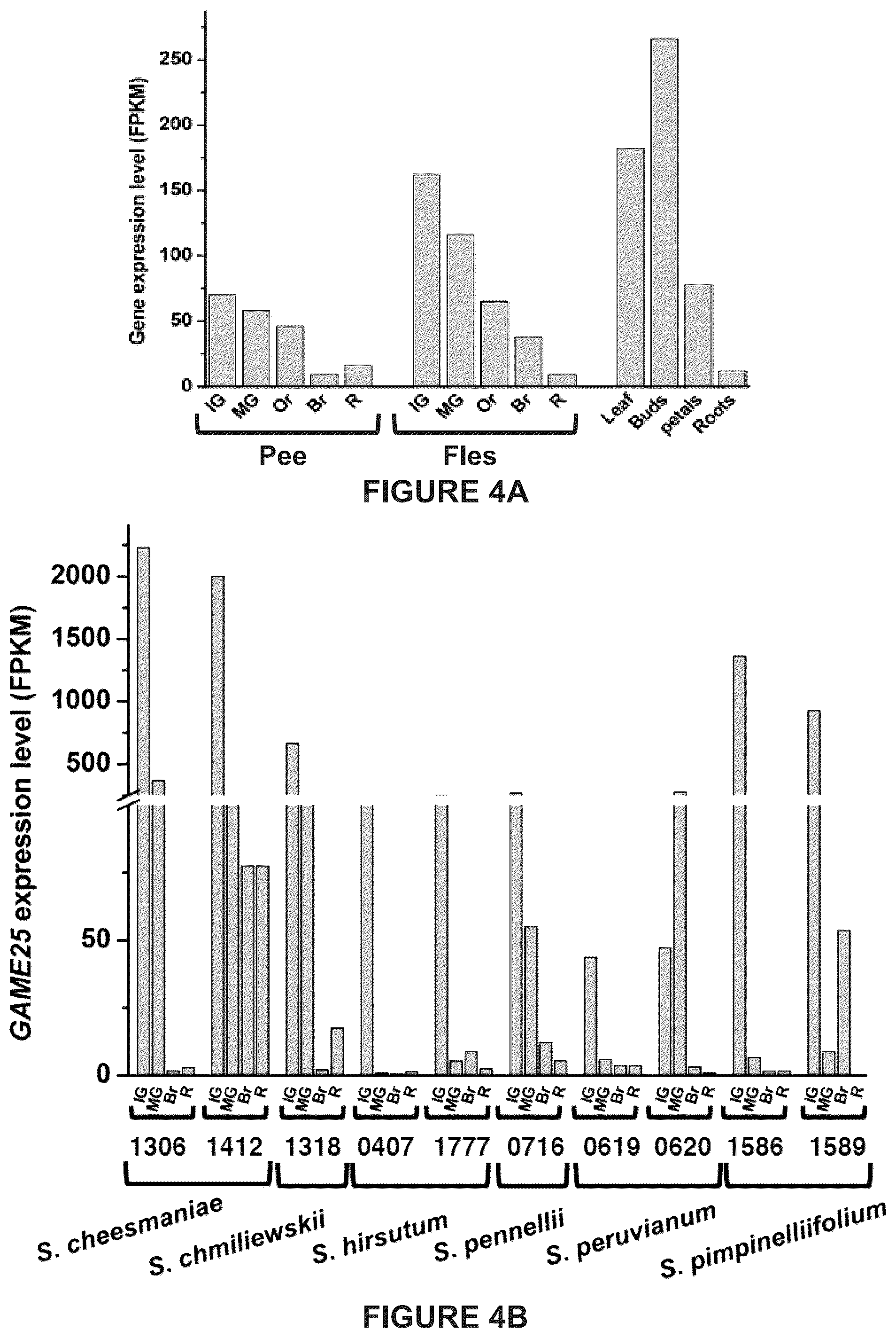 Patent US12129475 Figure 12 – Glycoalkaloid metabolism enyzymes (GAMES) and uses thereof