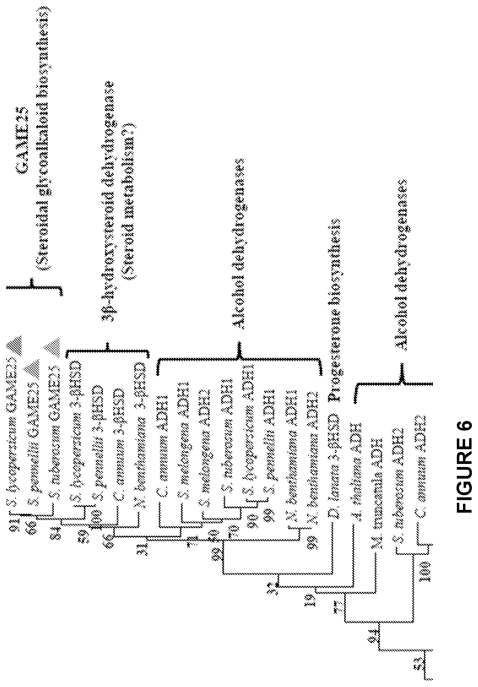 Patent US12129475 Figure 14 – Glycoalkaloid metabolism enyzymes (GAMES) and uses thereof