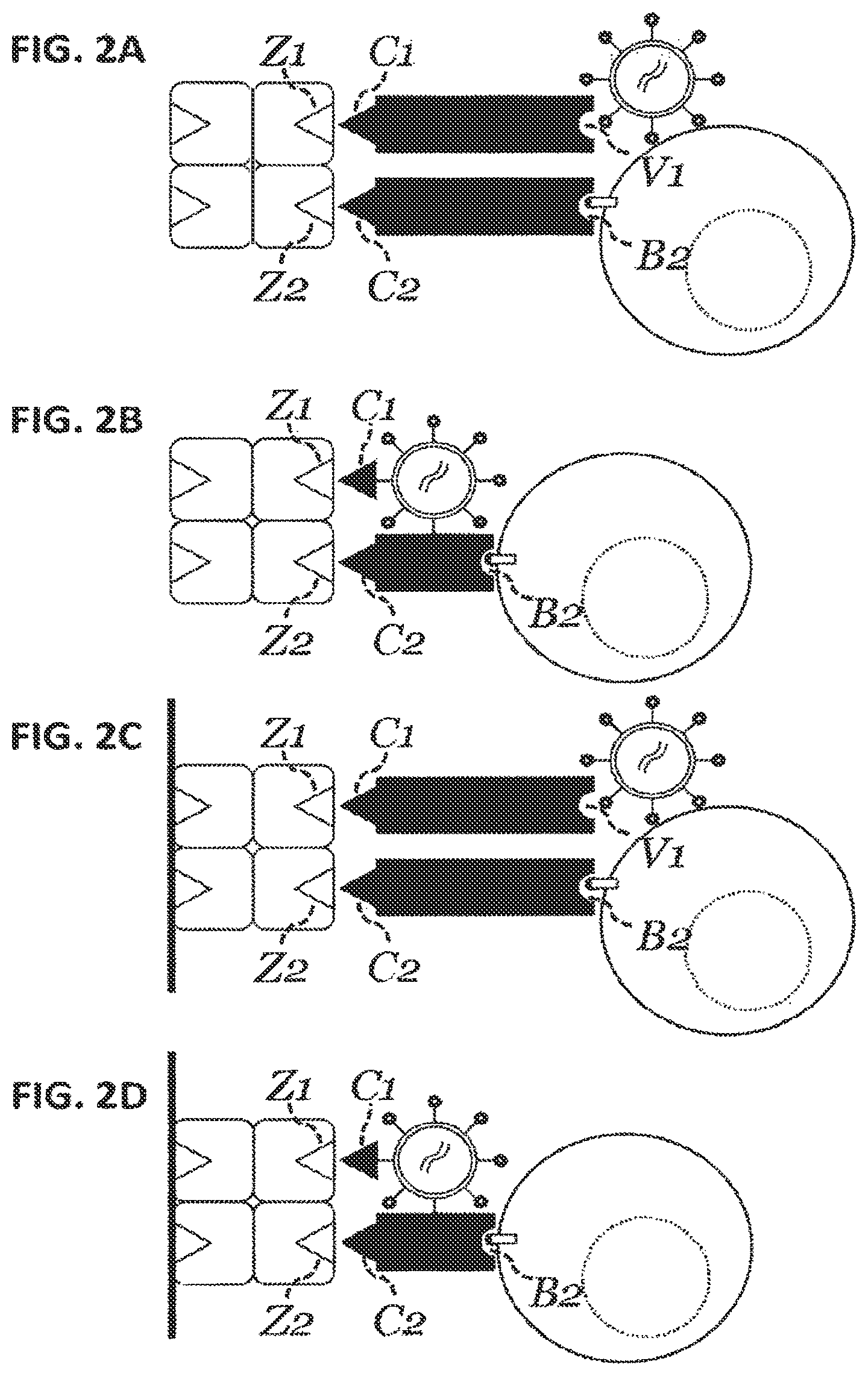 Patent US12129477 Figure 2 – Methods, kits, agents and apparatuses for transduction