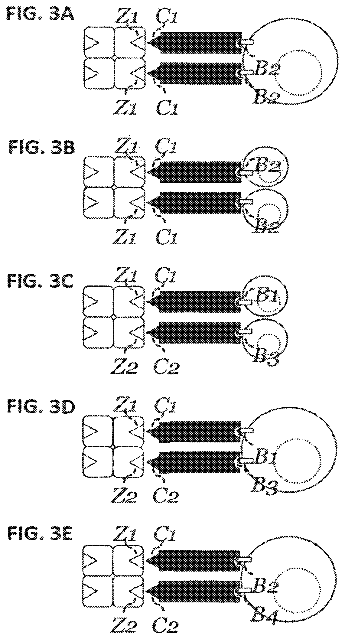 Patent US12129477 Figure 3 – Methods, kits, agents and apparatuses for transduction