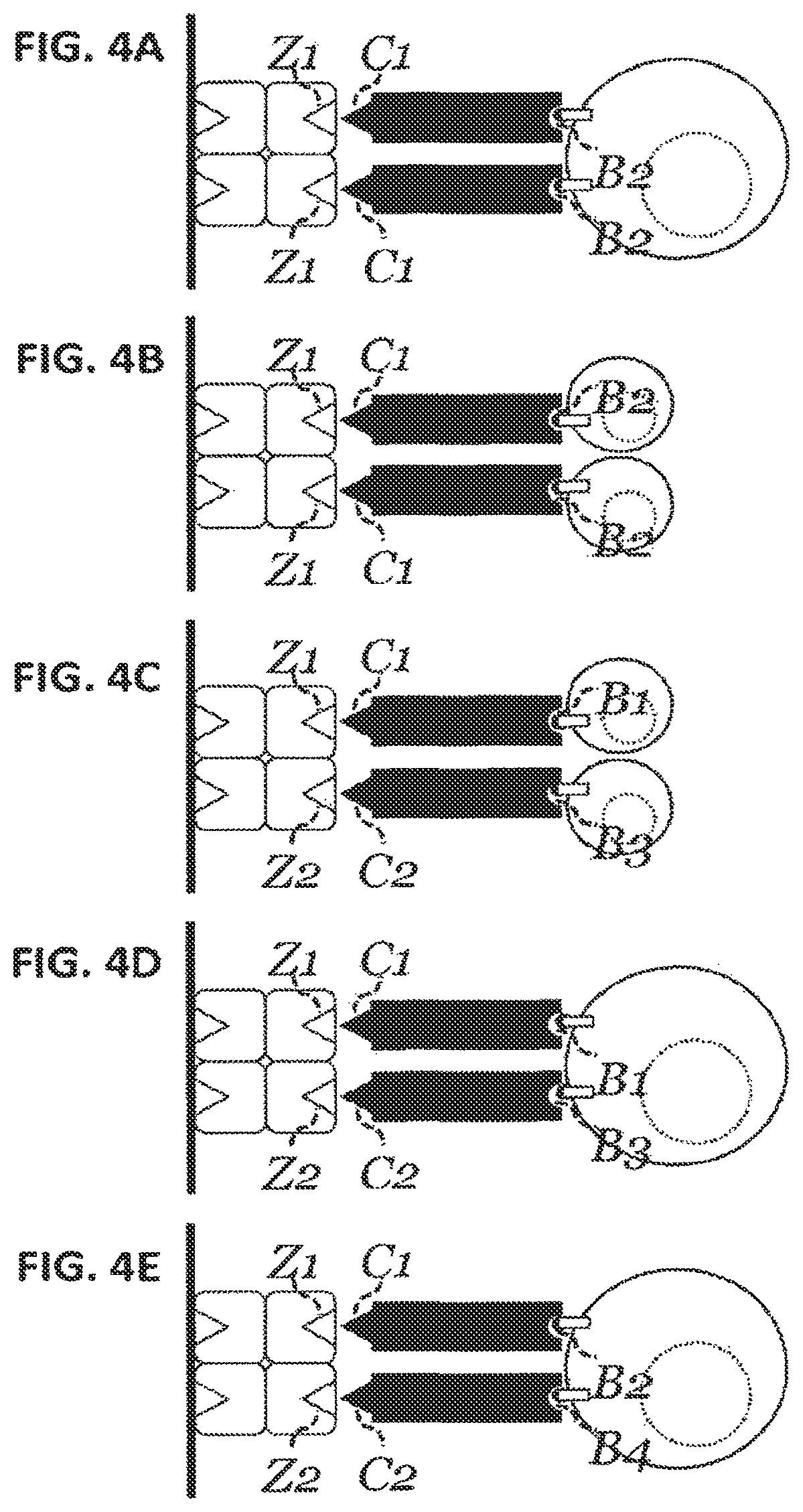 Patent US12129477 Figure 4 – Methods, kits, agents and apparatuses for transduction