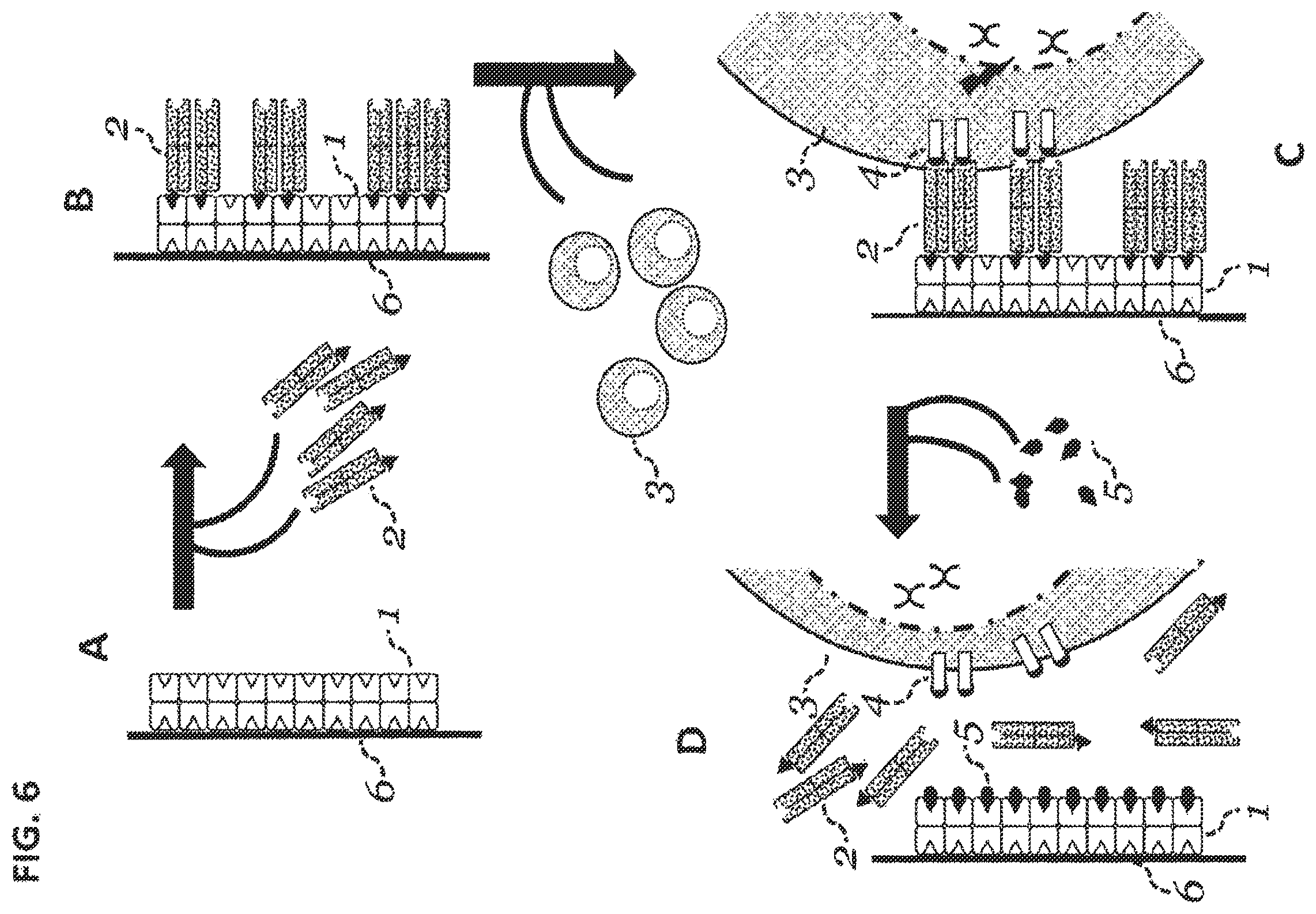 Patent US12129477 Figure 6 – Methods, kits, agents and apparatuses for transduction