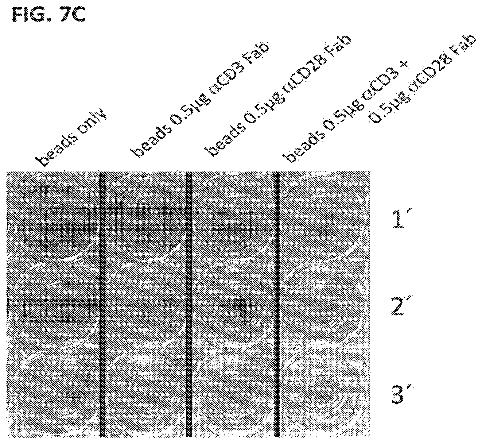 Patent US12129477 Figure 9 – Methods, kits, agents and apparatuses for transduction