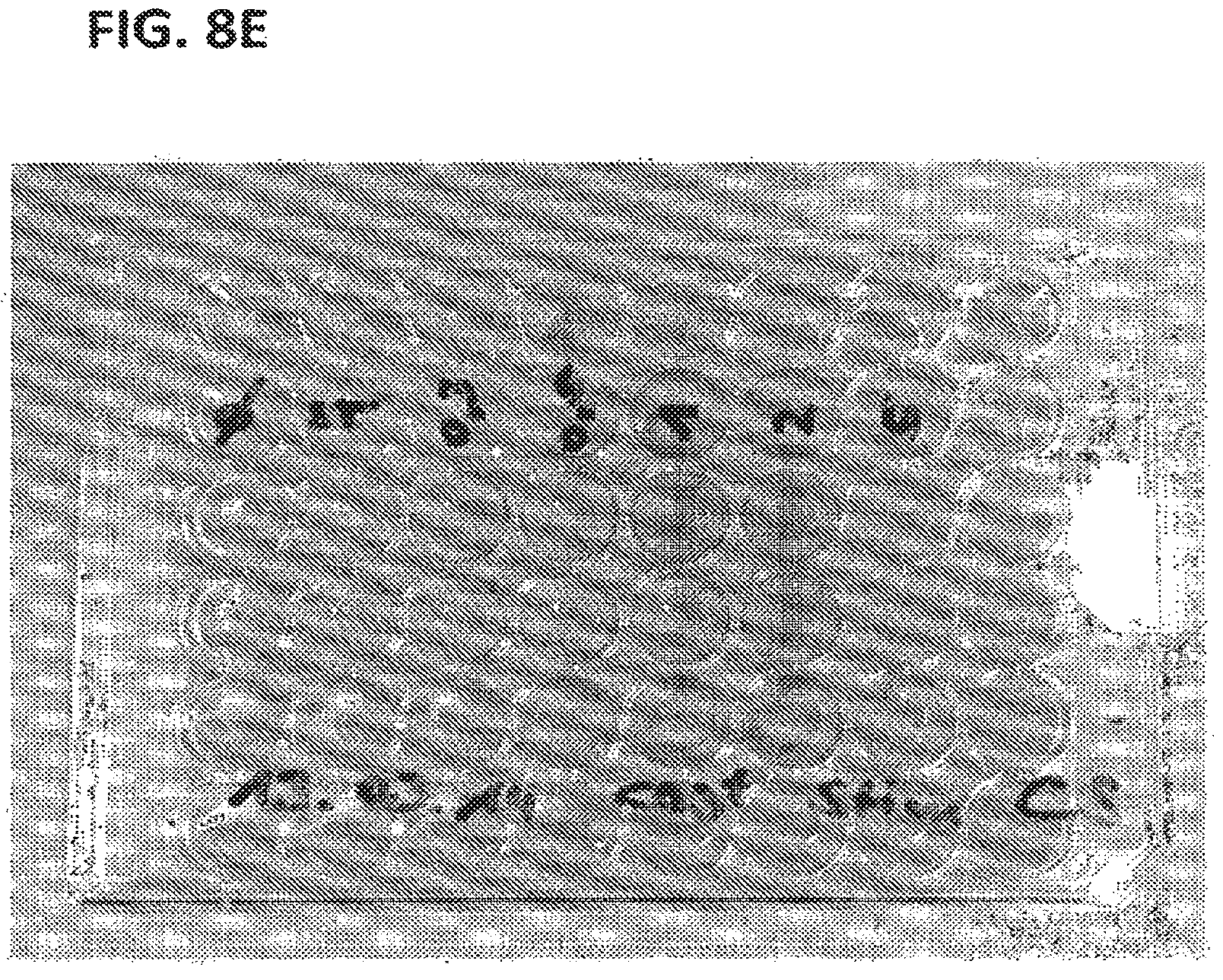 Patent US12129477 Figure 12 – Methods, kits, agents and apparatuses for transduction
