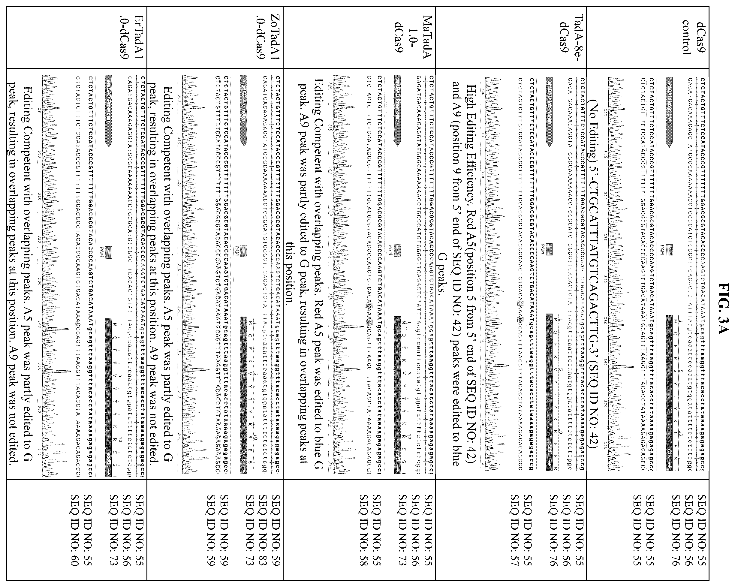 Patent US12129478 Figure 6 – Engineered adenosine deaminases and base editors thereof