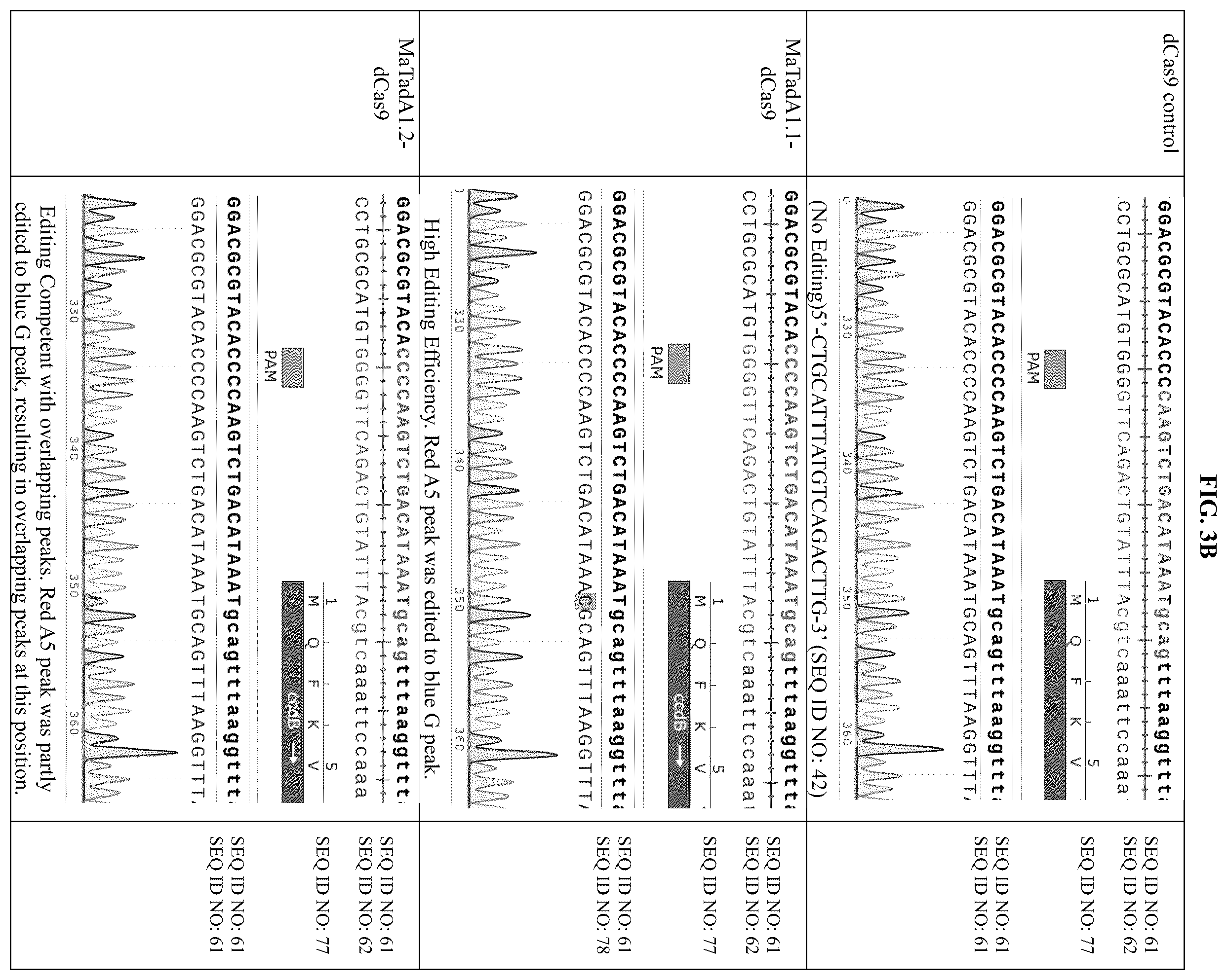 Patent US12129478 Figure 7 – Engineered adenosine deaminases and base editors thereof