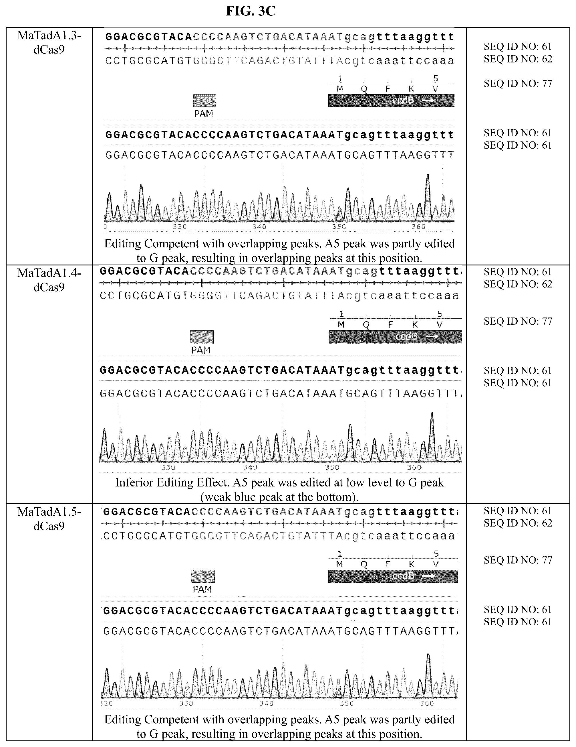 Patent US12129478 Figure 8 – Engineered adenosine deaminases and base editors thereof