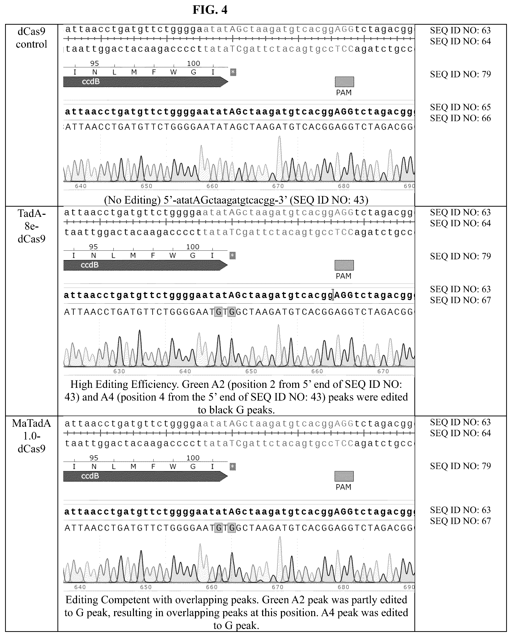 Patent US12129478 Figure 9 – Engineered adenosine deaminases and base editors thereof