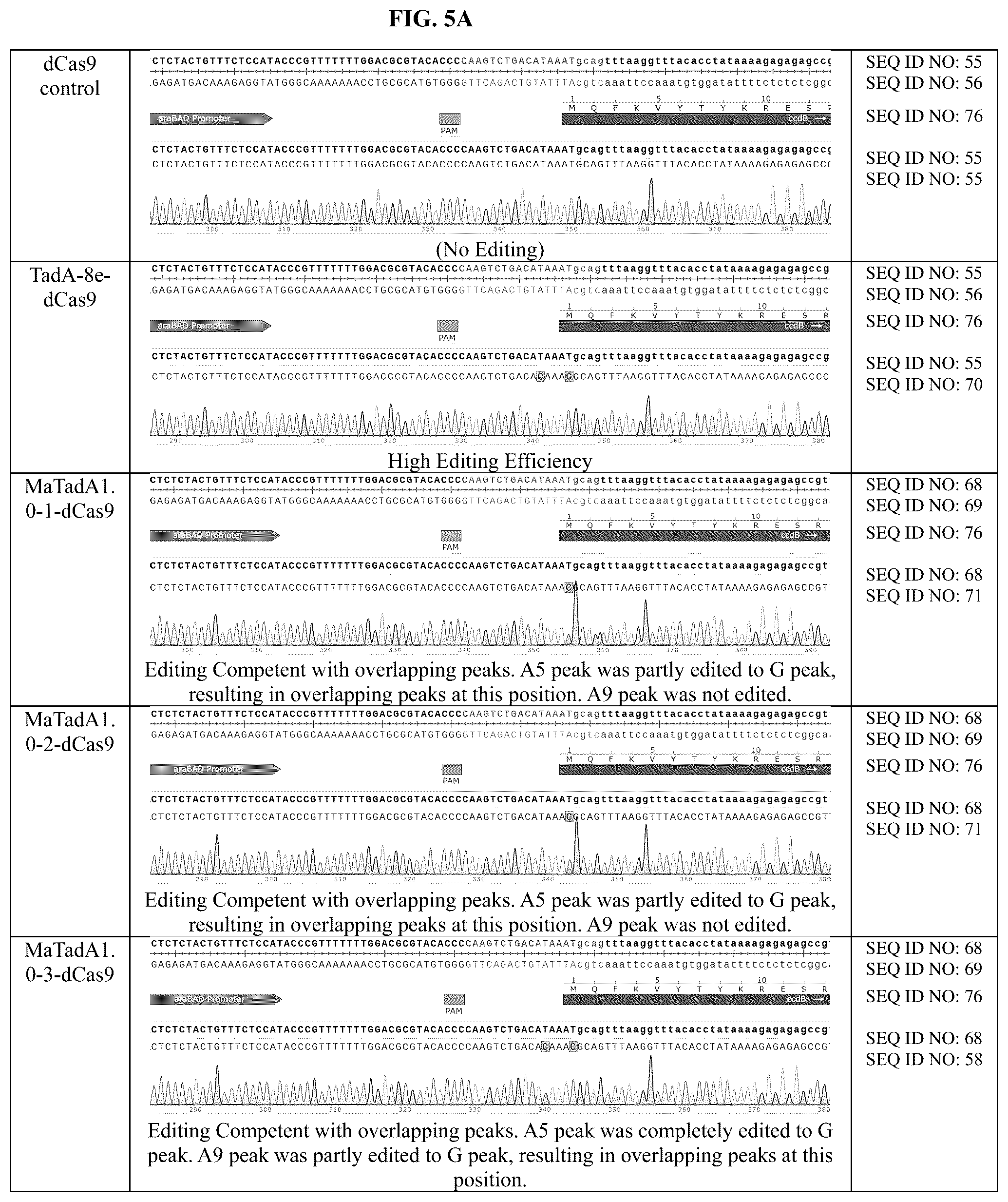 Patent US12129478 Figure 10 – Engineered adenosine deaminases and base editors thereof