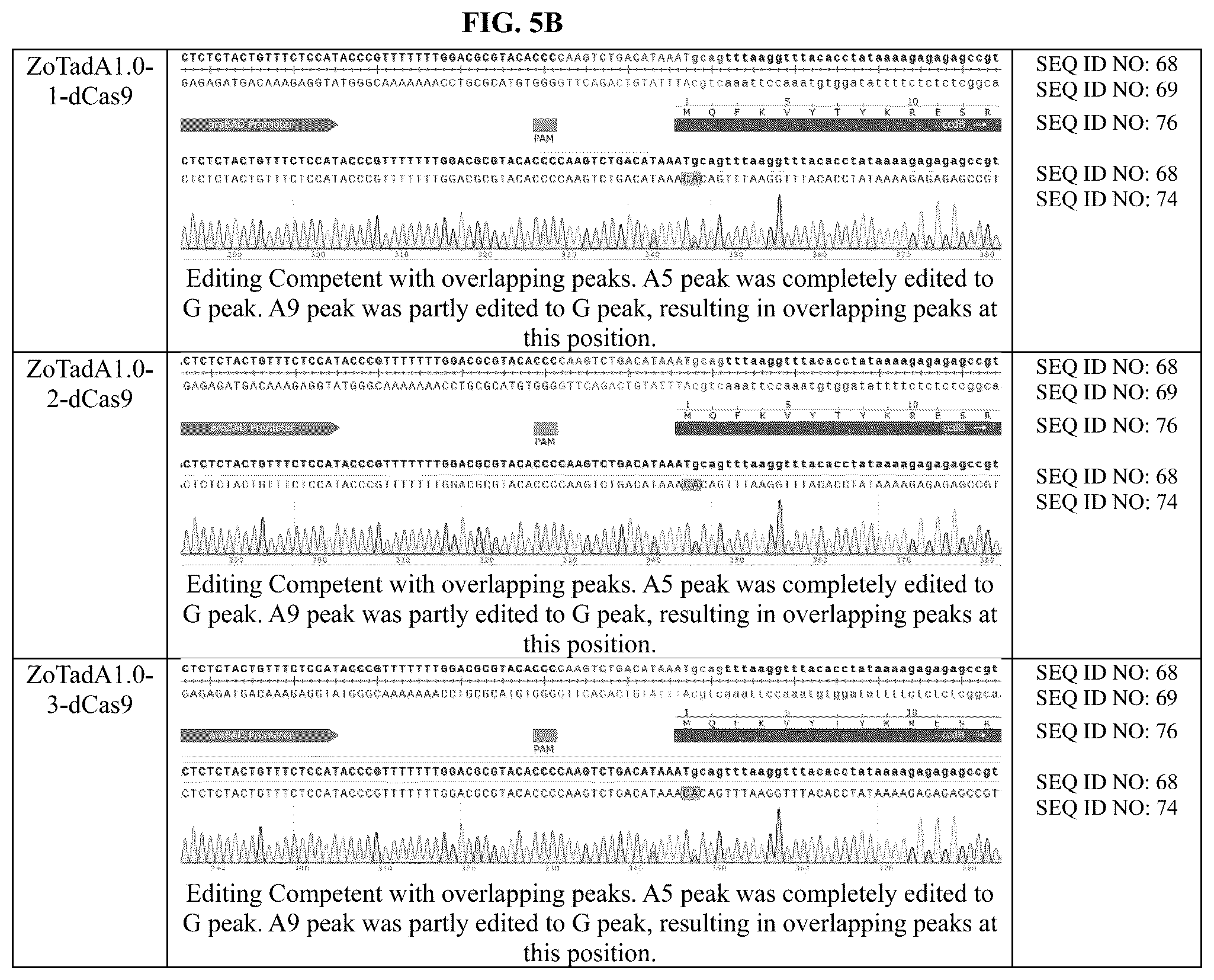 Patent US12129478 Figure 11 – Engineered adenosine deaminases and base editors thereof