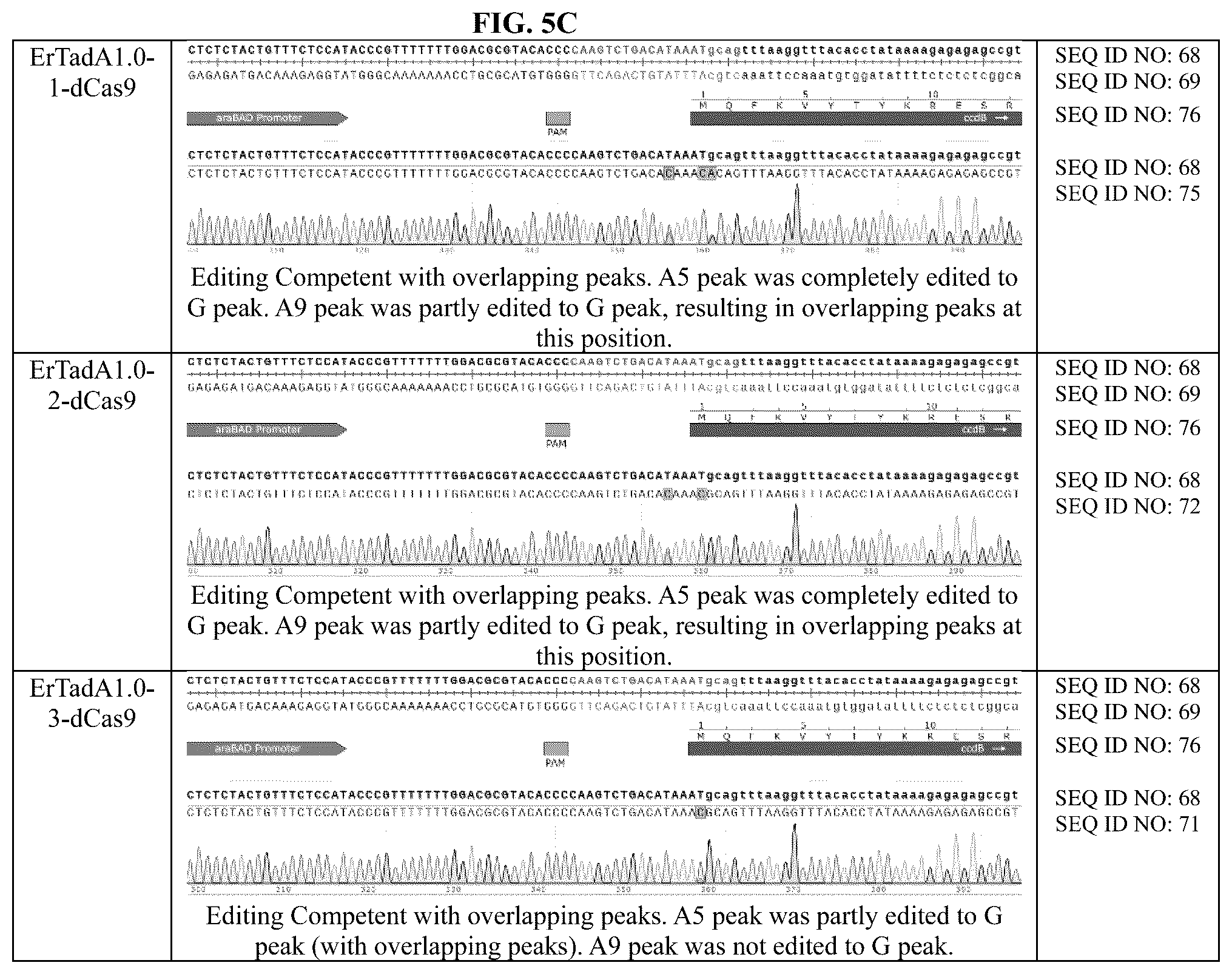 Patent US12129478 Figure 12 – Engineered adenosine deaminases and base editors thereof