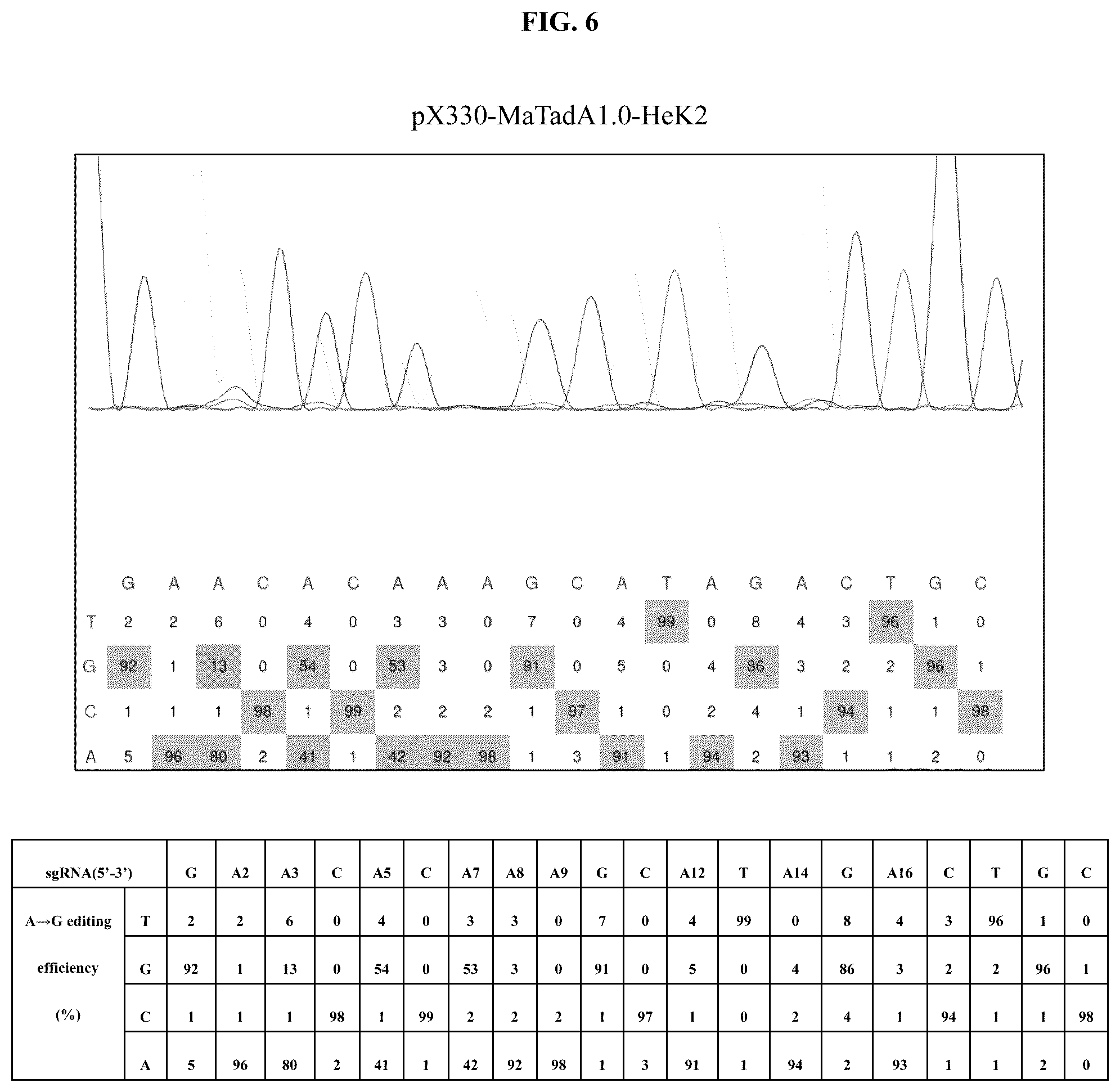 Patent US12129478 Figure 13 – Engineered adenosine deaminases and base editors thereof