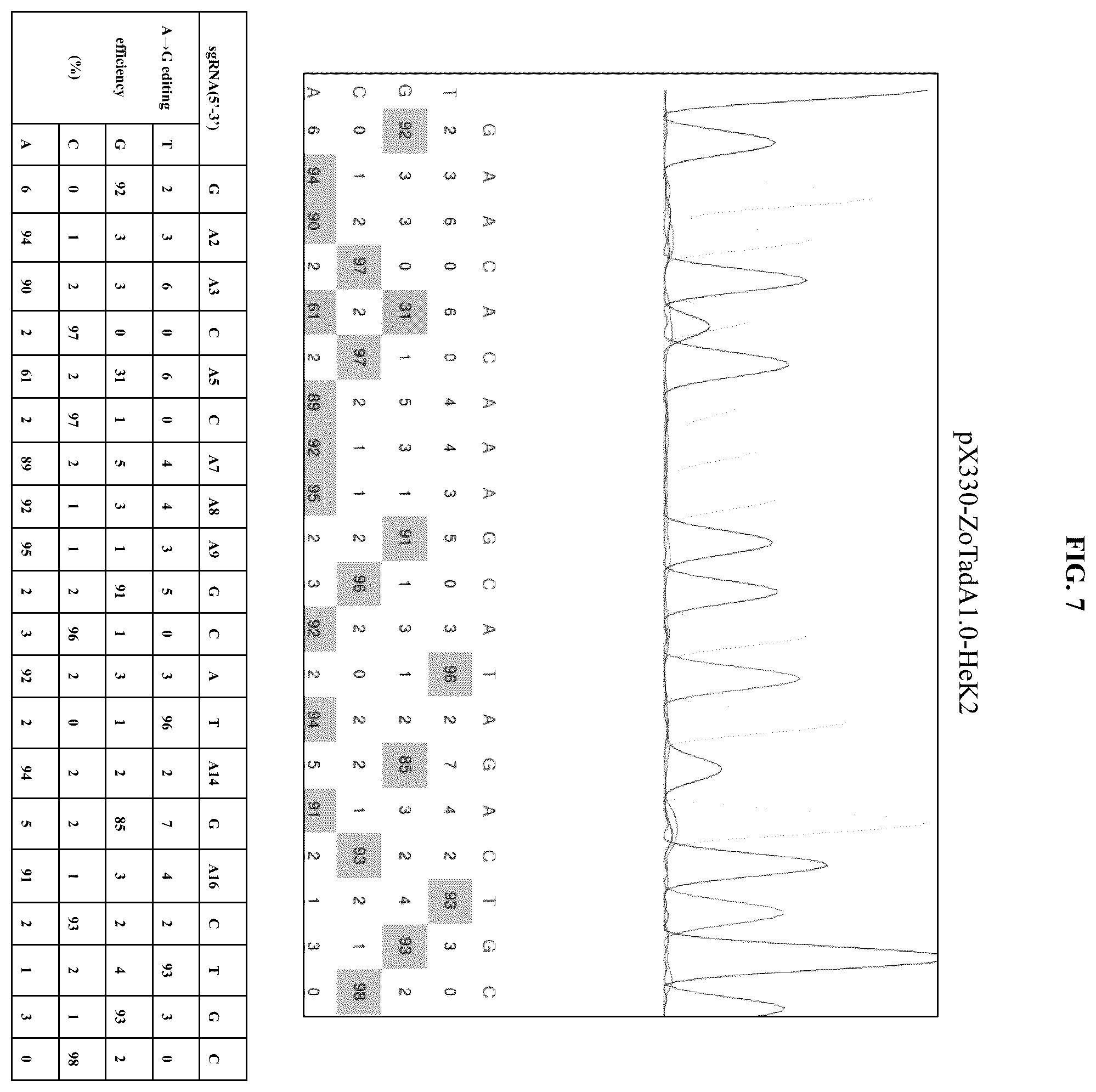 Patent US12129478 Figure 14 – Engineered adenosine deaminases and base editors thereof