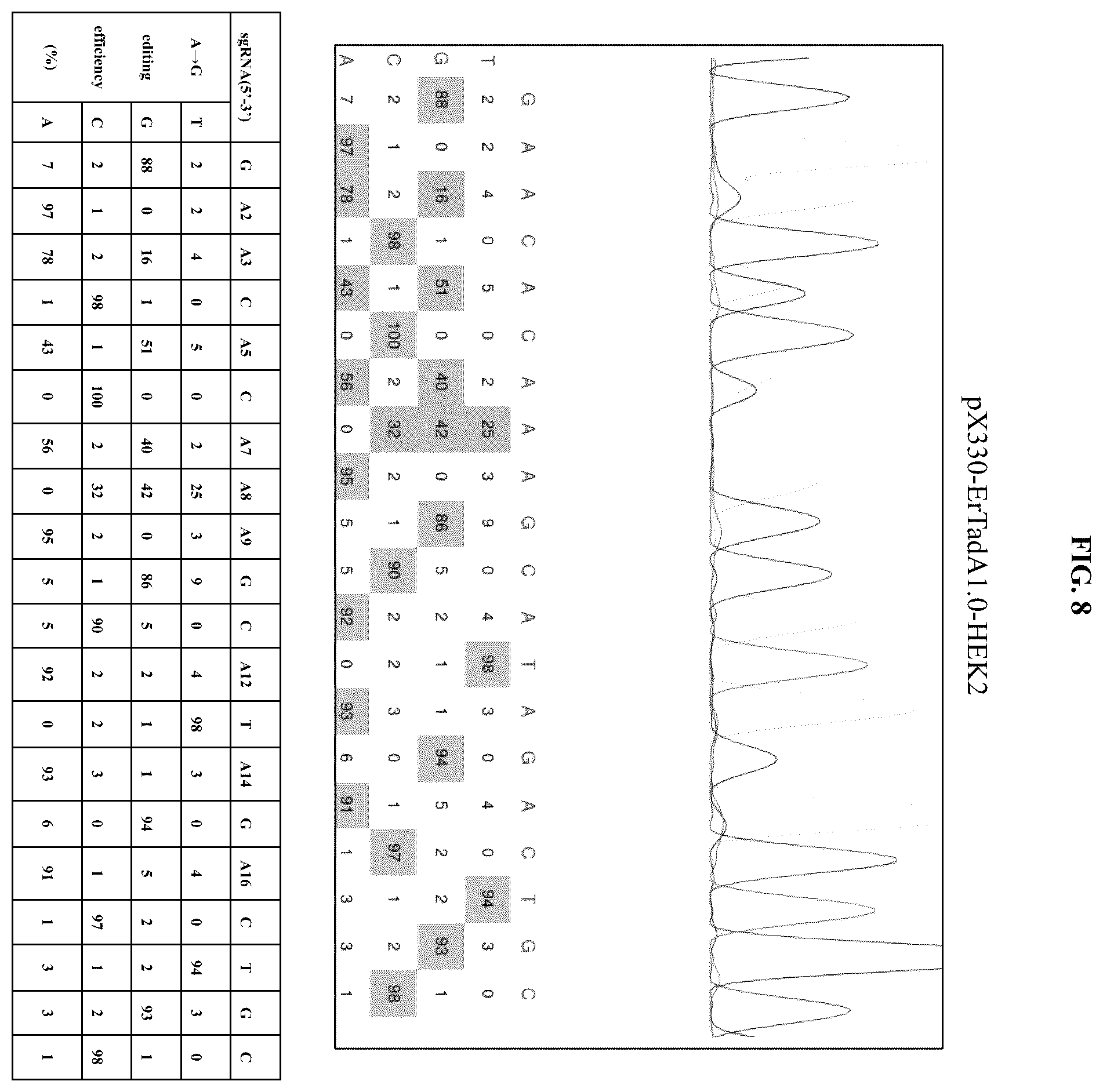 Patent US12129478 Figure 15 – Engineered adenosine deaminases and base editors thereof